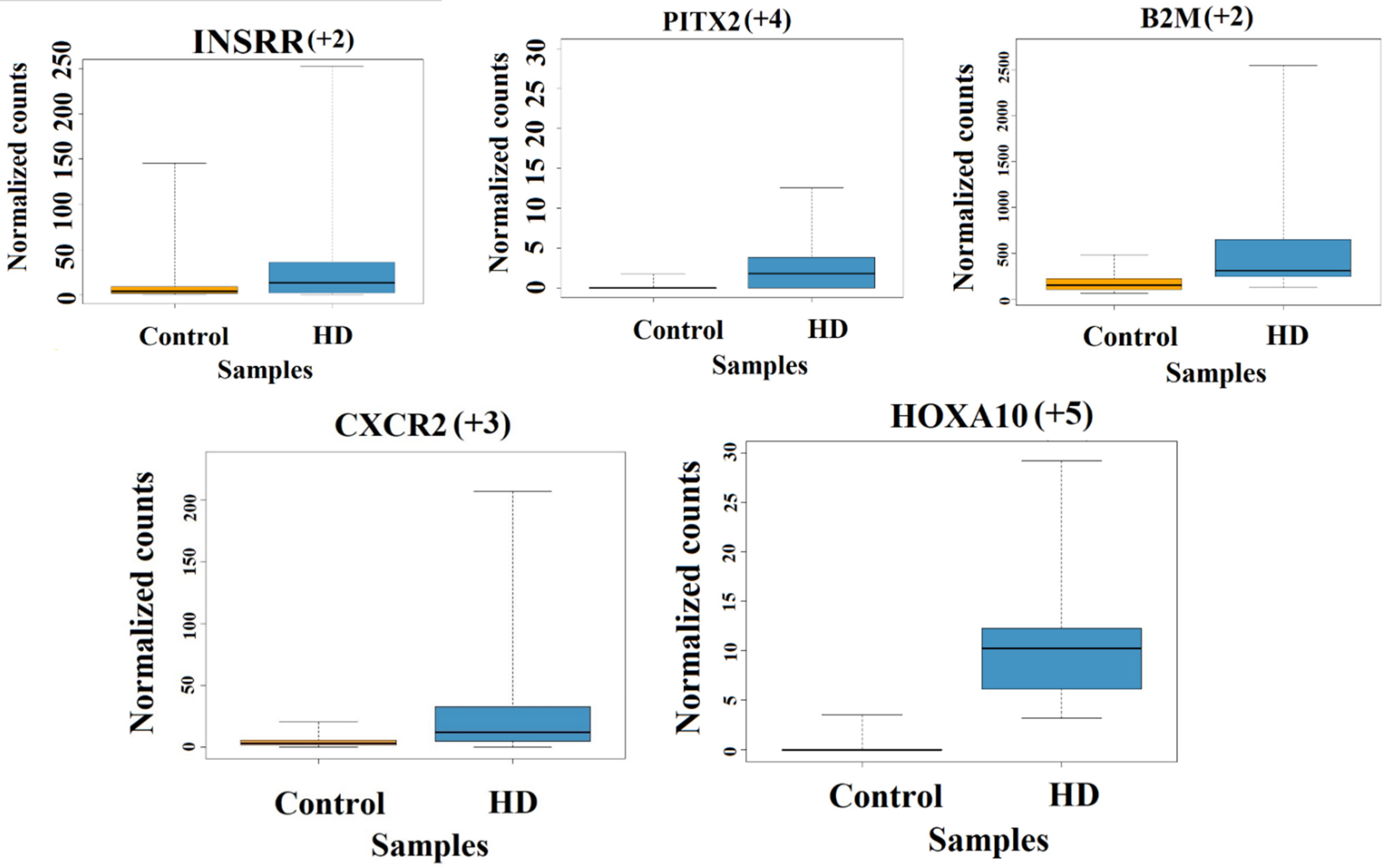 Genes 13 02385 g002 Genes 13 02385 g002