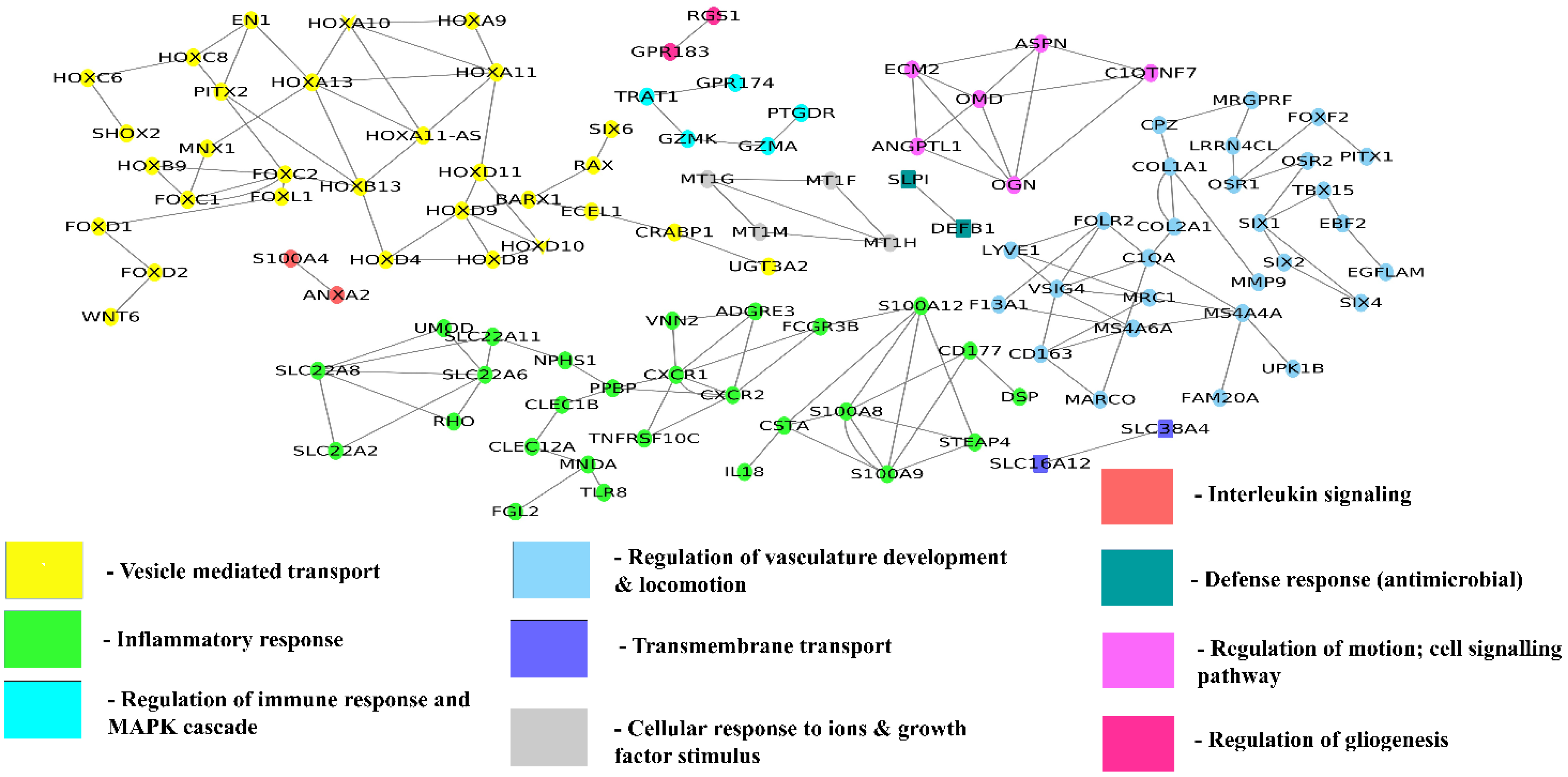 Genes 13 02385 g006 Genes 13 02385 g006