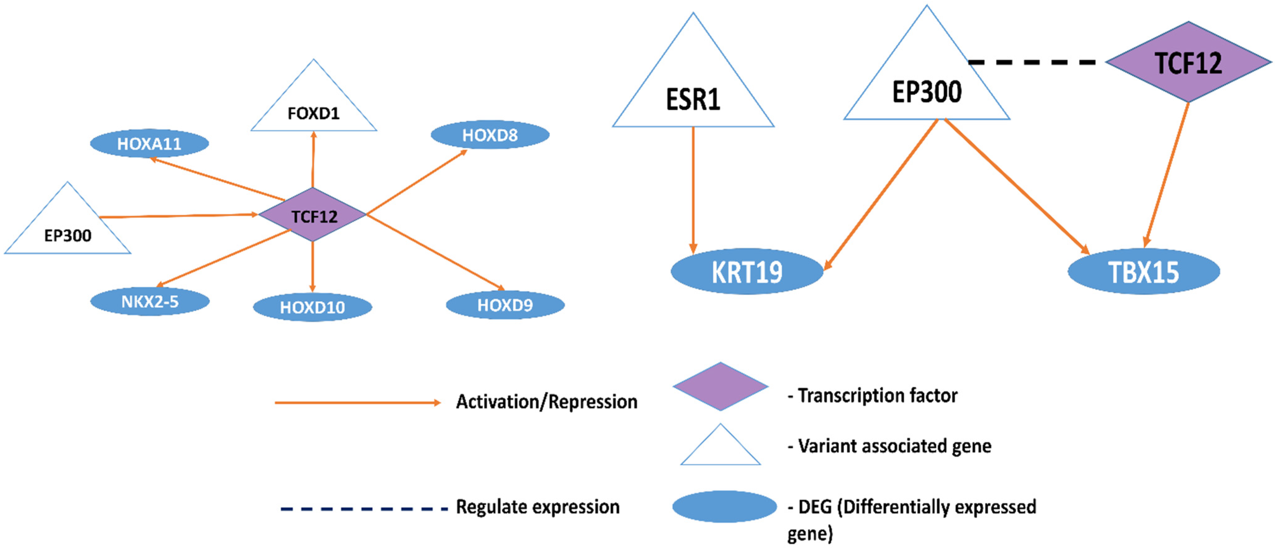Genes 13 02385 g007 Genes 13 02385 g007