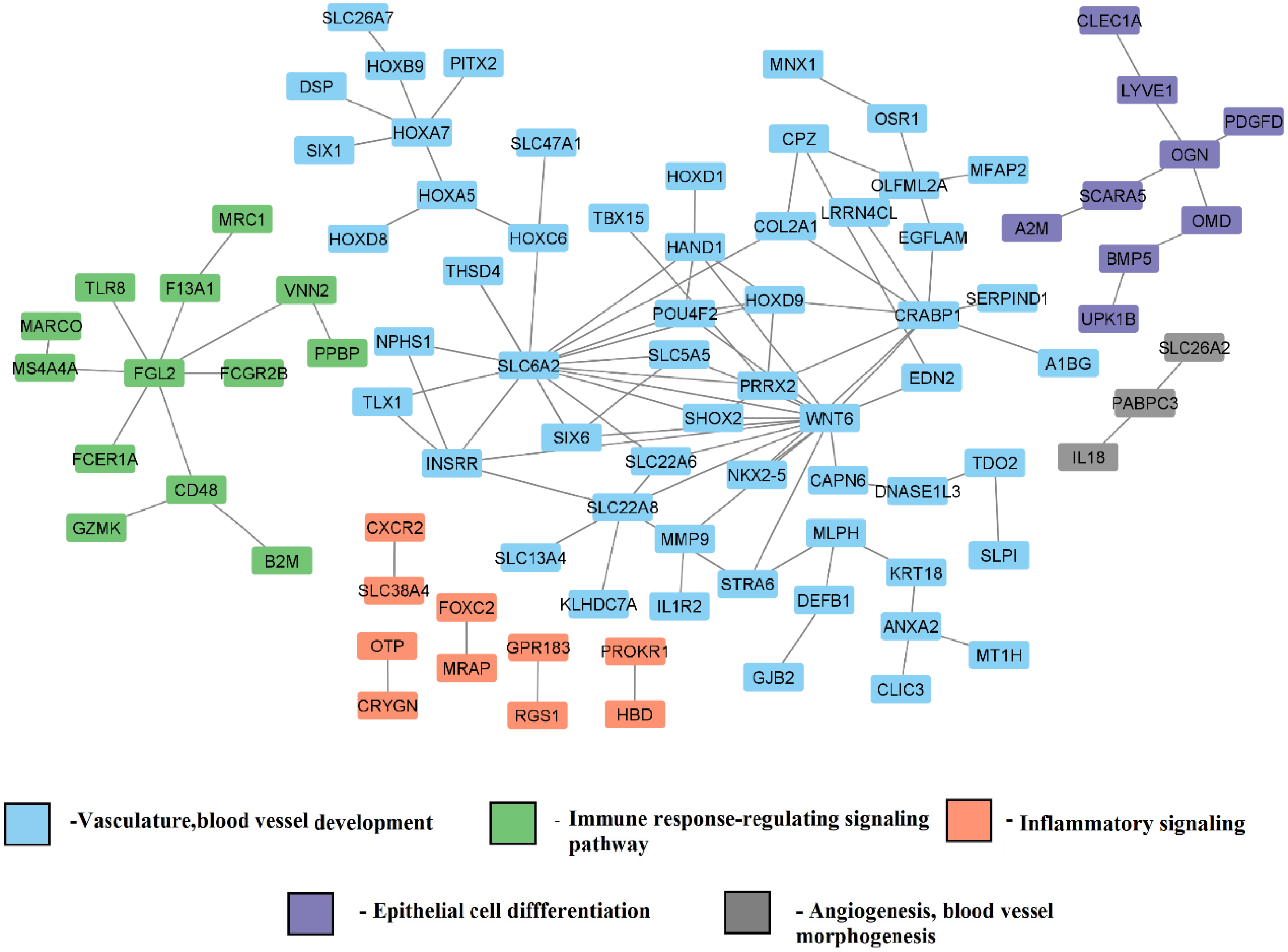 Genes 13 02385 g008 Genes 13 02385 g008