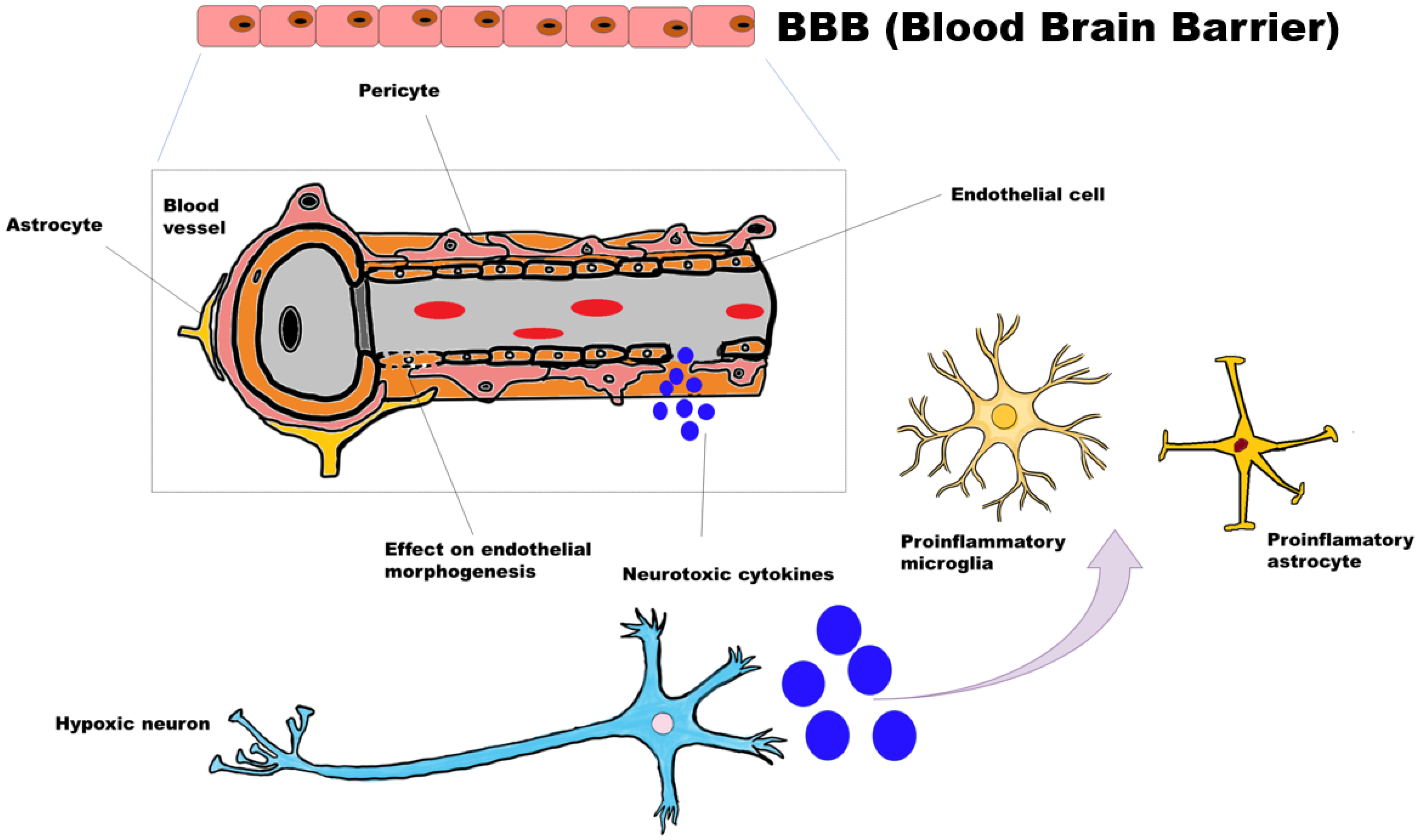 Genes 13 02385 g009 Genes 13 02385 g009