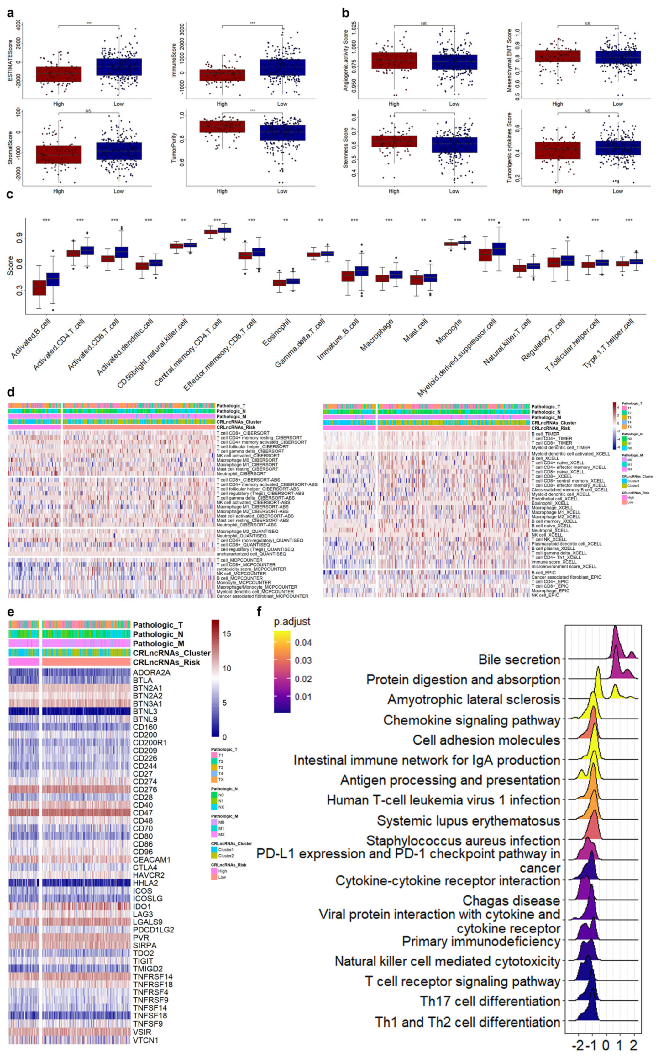 Genes 14 01381 g005 Genes 14 01381 g005