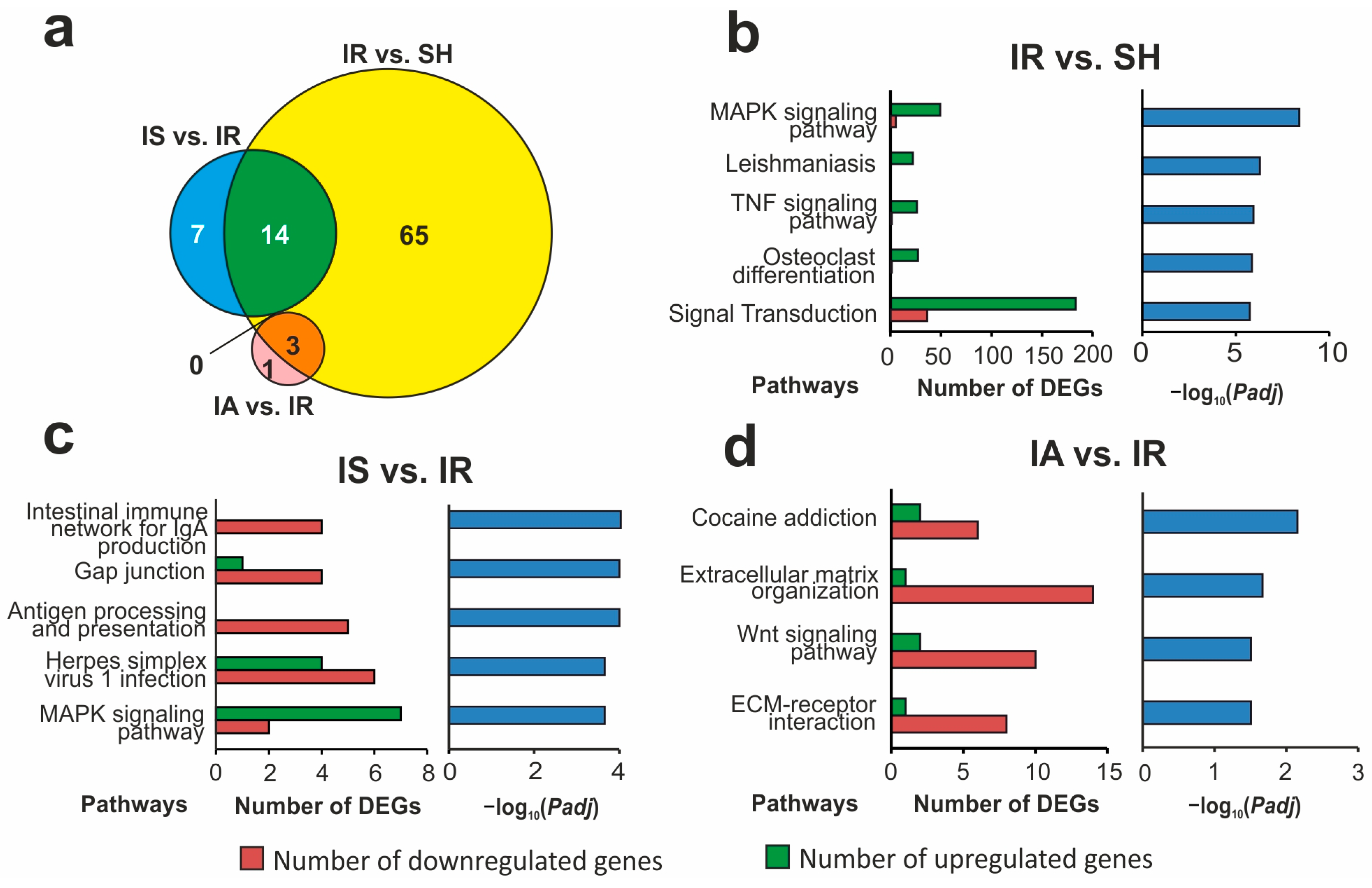 Genes 14 01382 g004
