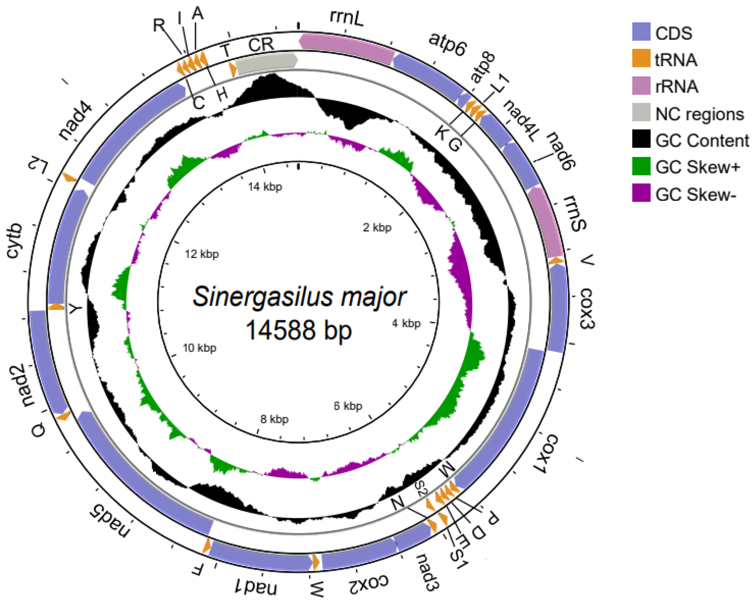 Genes 14 01496 g001 Genes 14 01496 g001