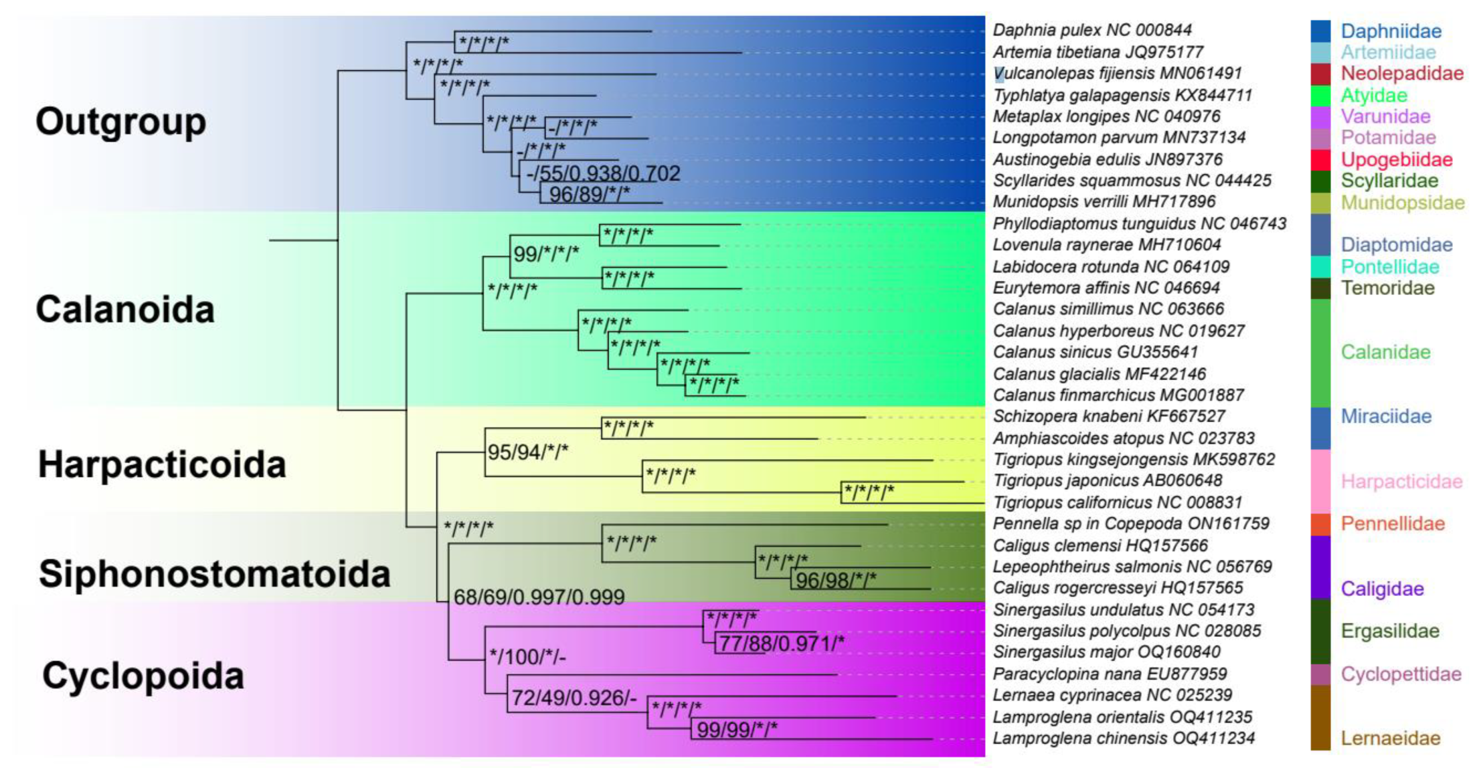 Genes 14 01496 g005 Genes 14 01496 g005