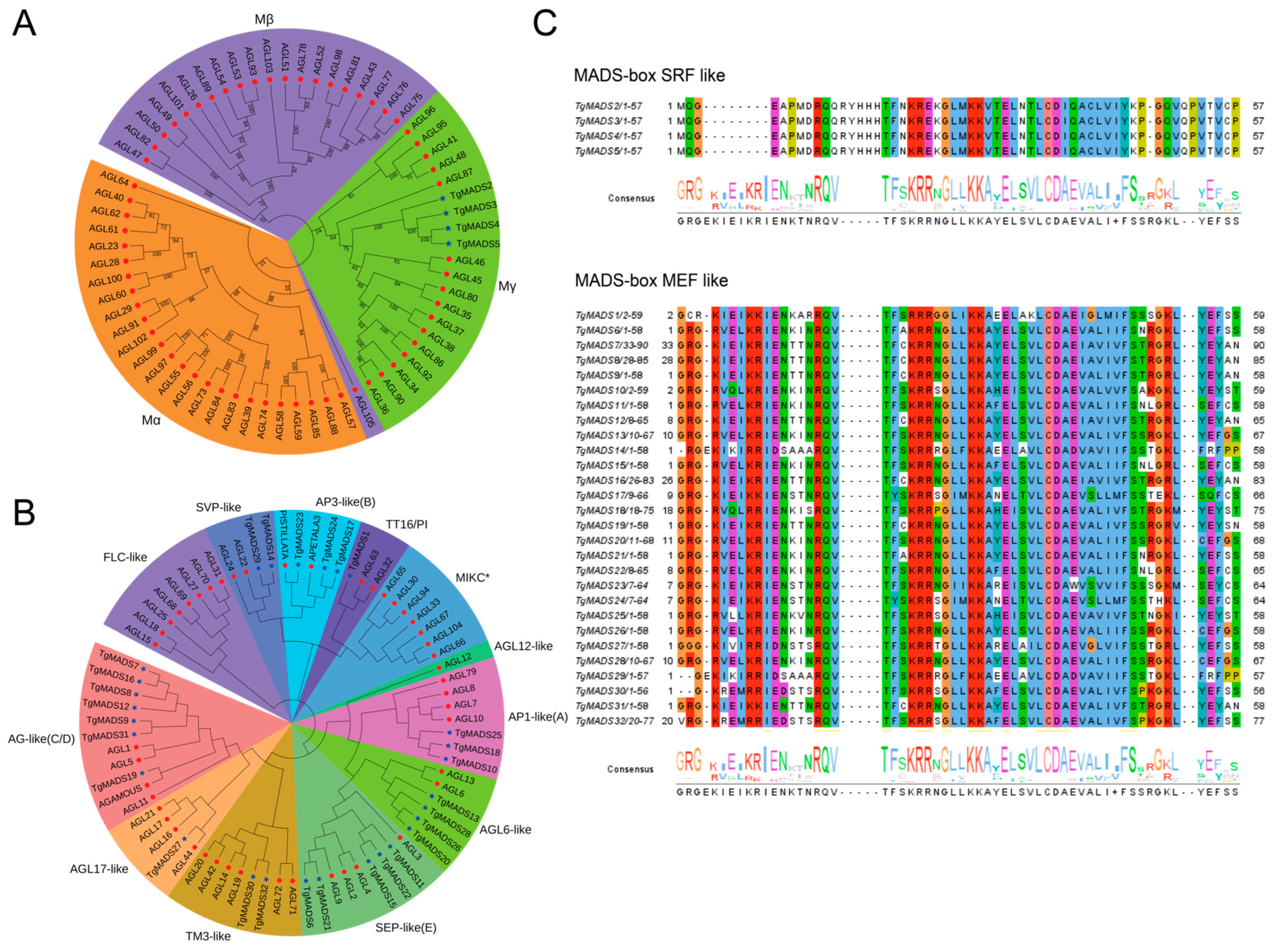 Genes 14 01974 g001