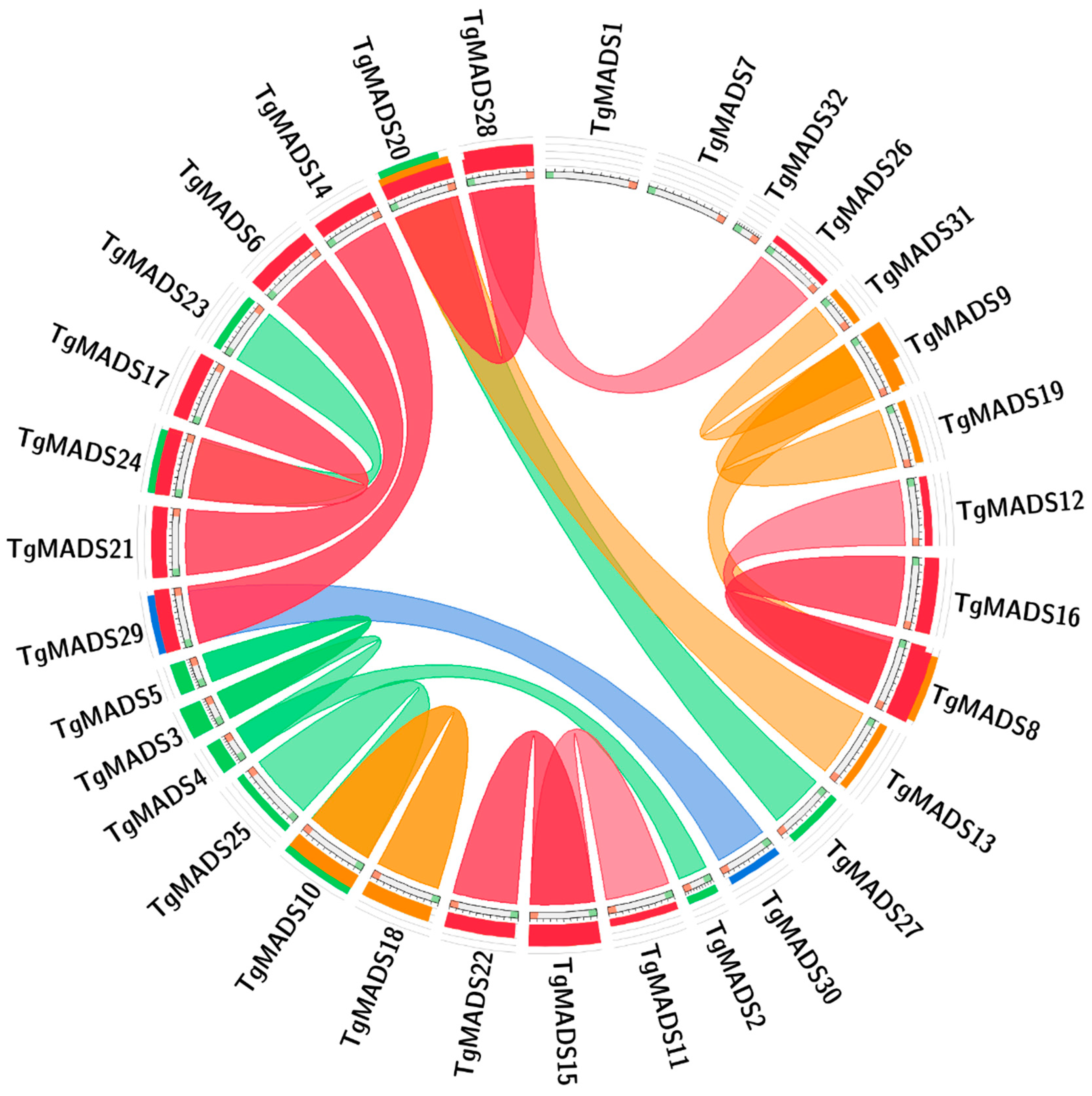 Genes 14 01974 g003