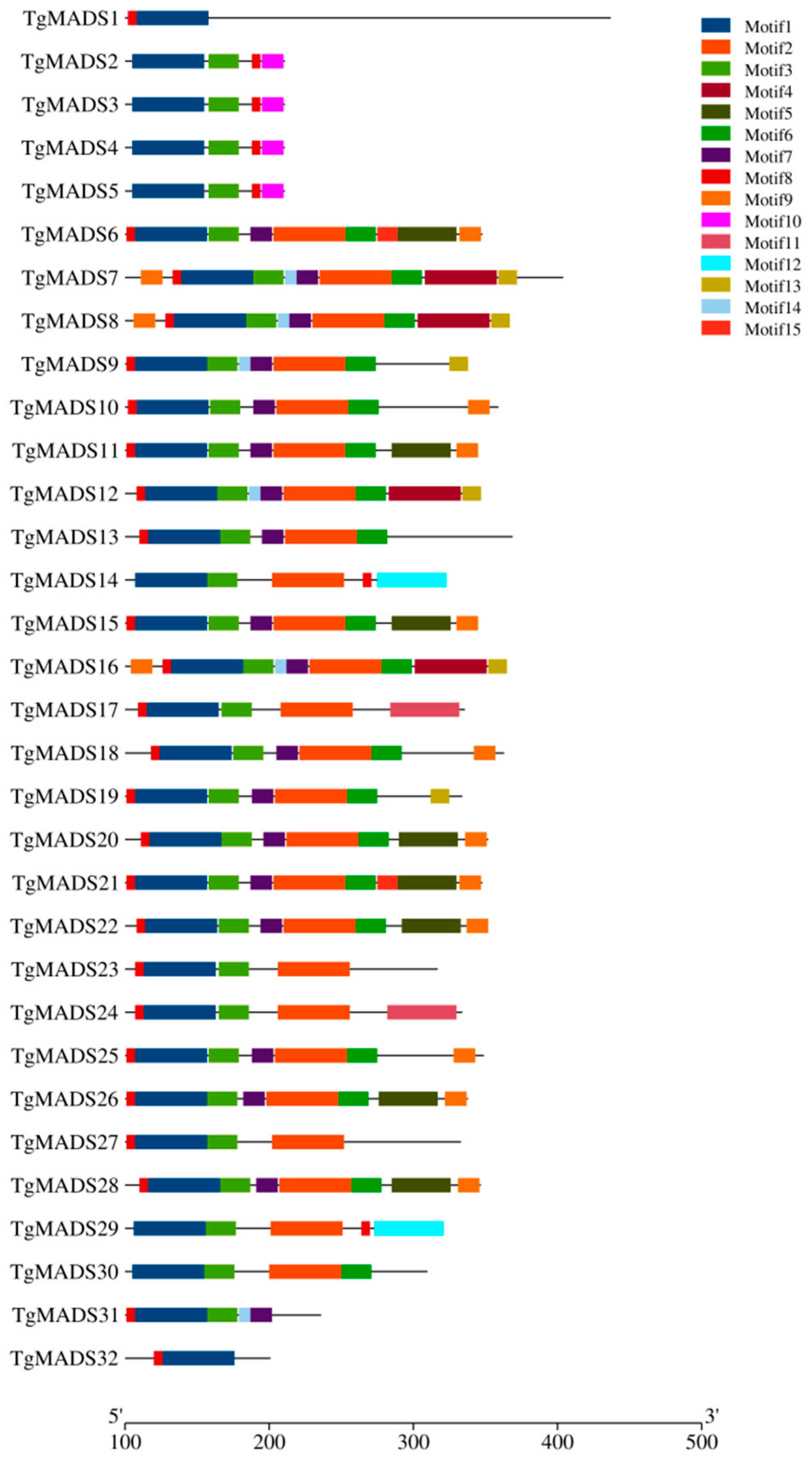 Genes 14 01974 g004