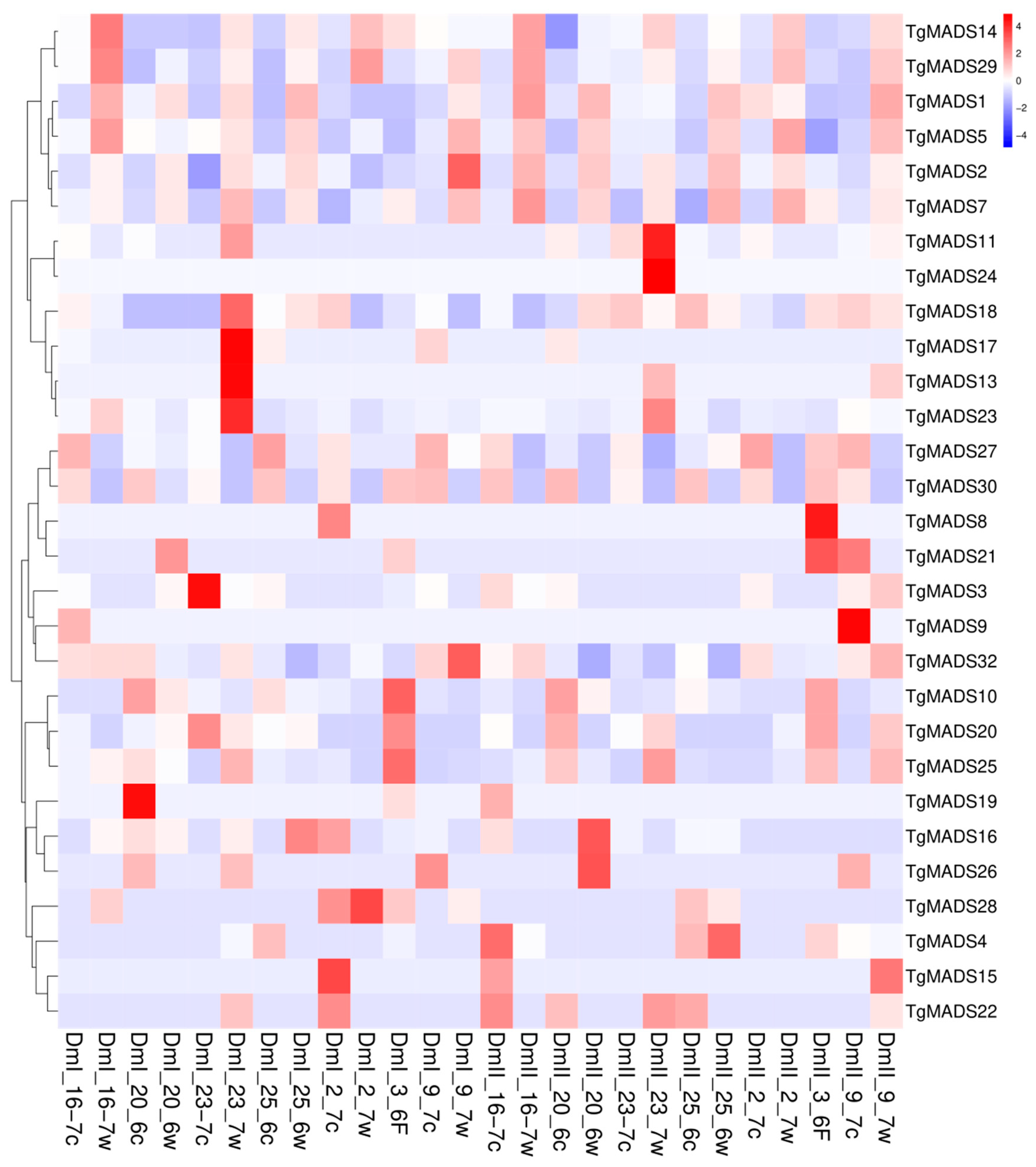Genes 14 01974 g006