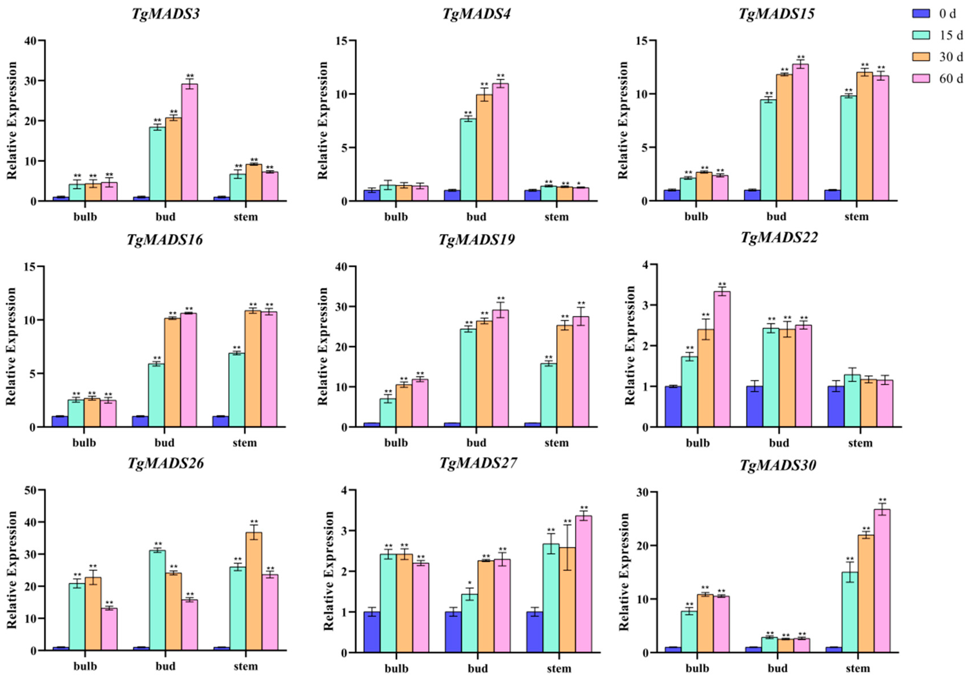 Genes 14 01974 g007