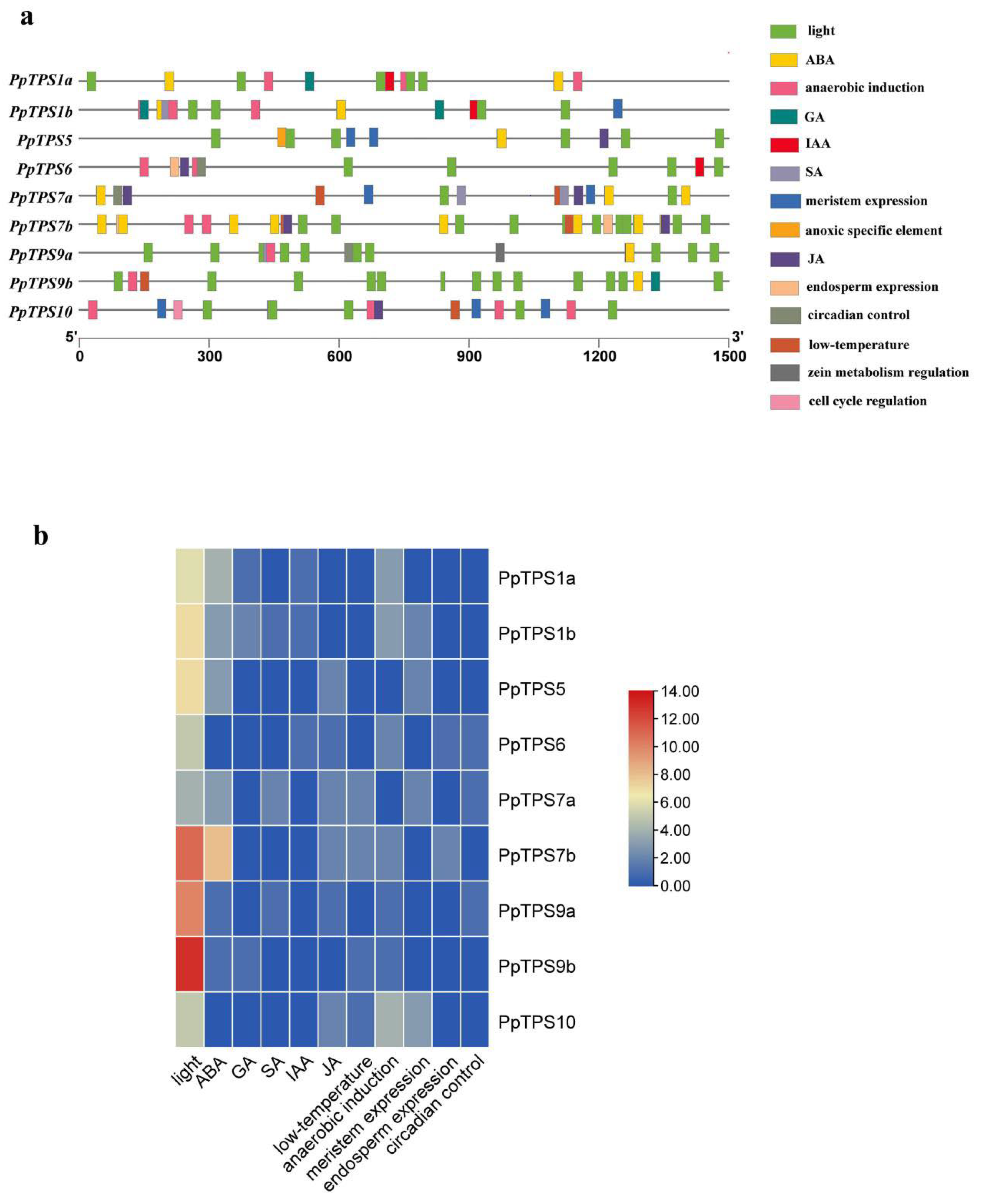 Genes 15 00039 g005