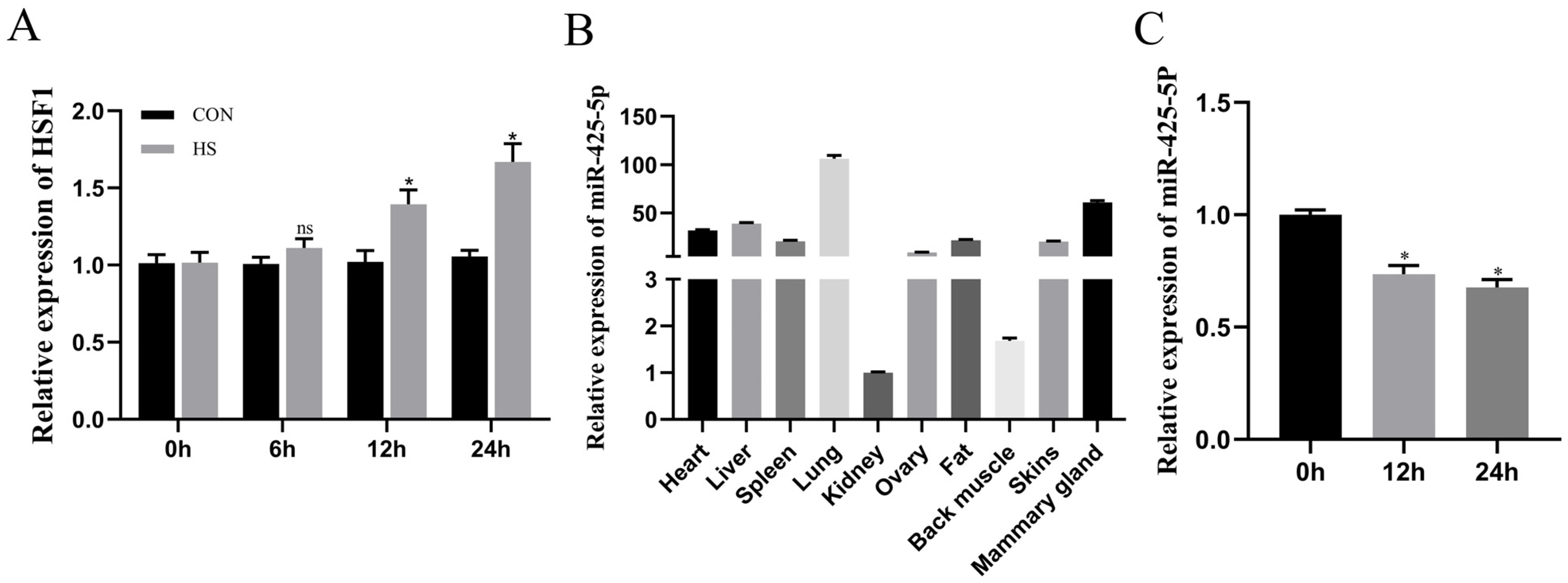 Genes 15 00174 g001