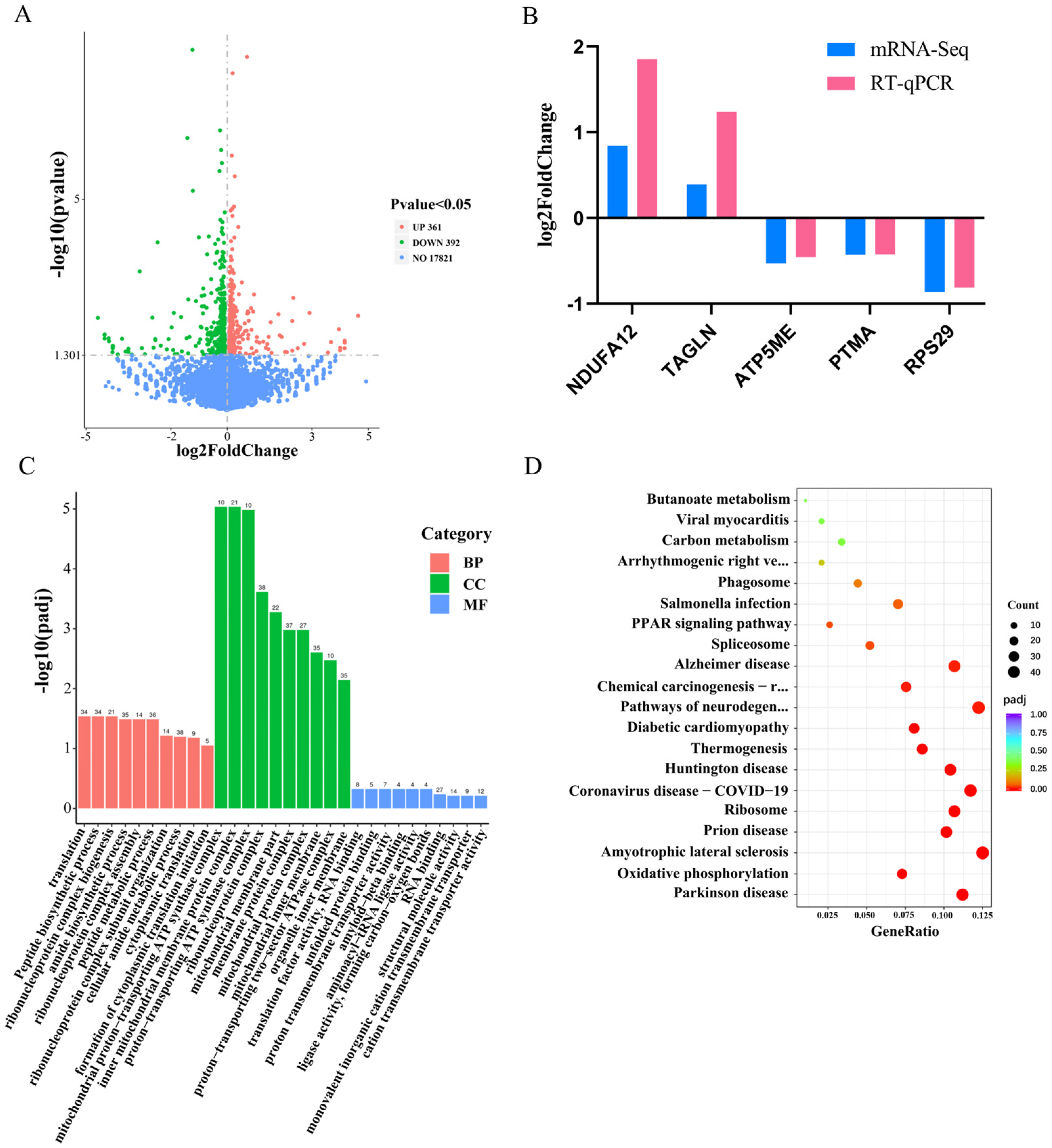 Genes 15 00174 g002