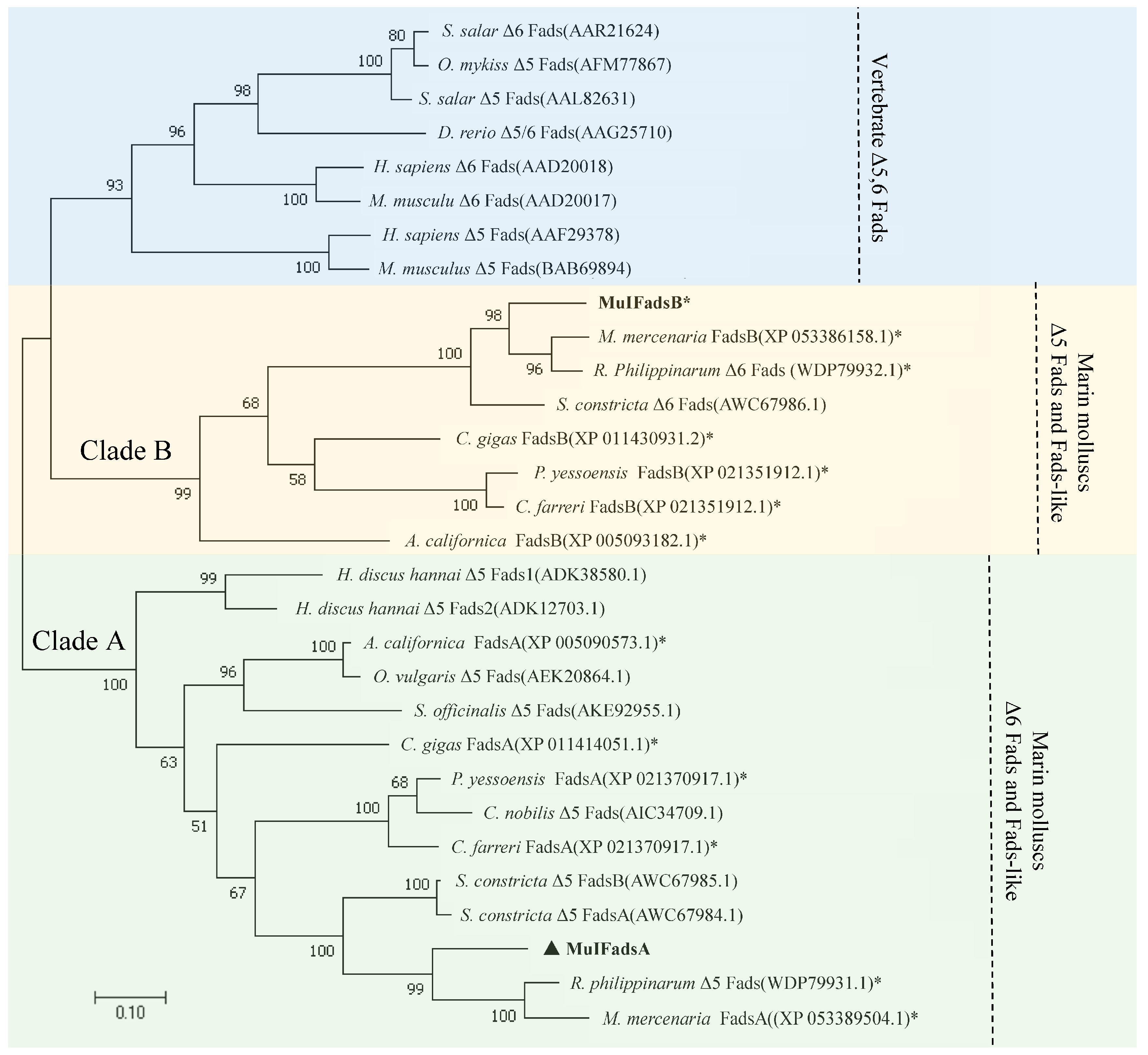 Genes 15 00365 g002