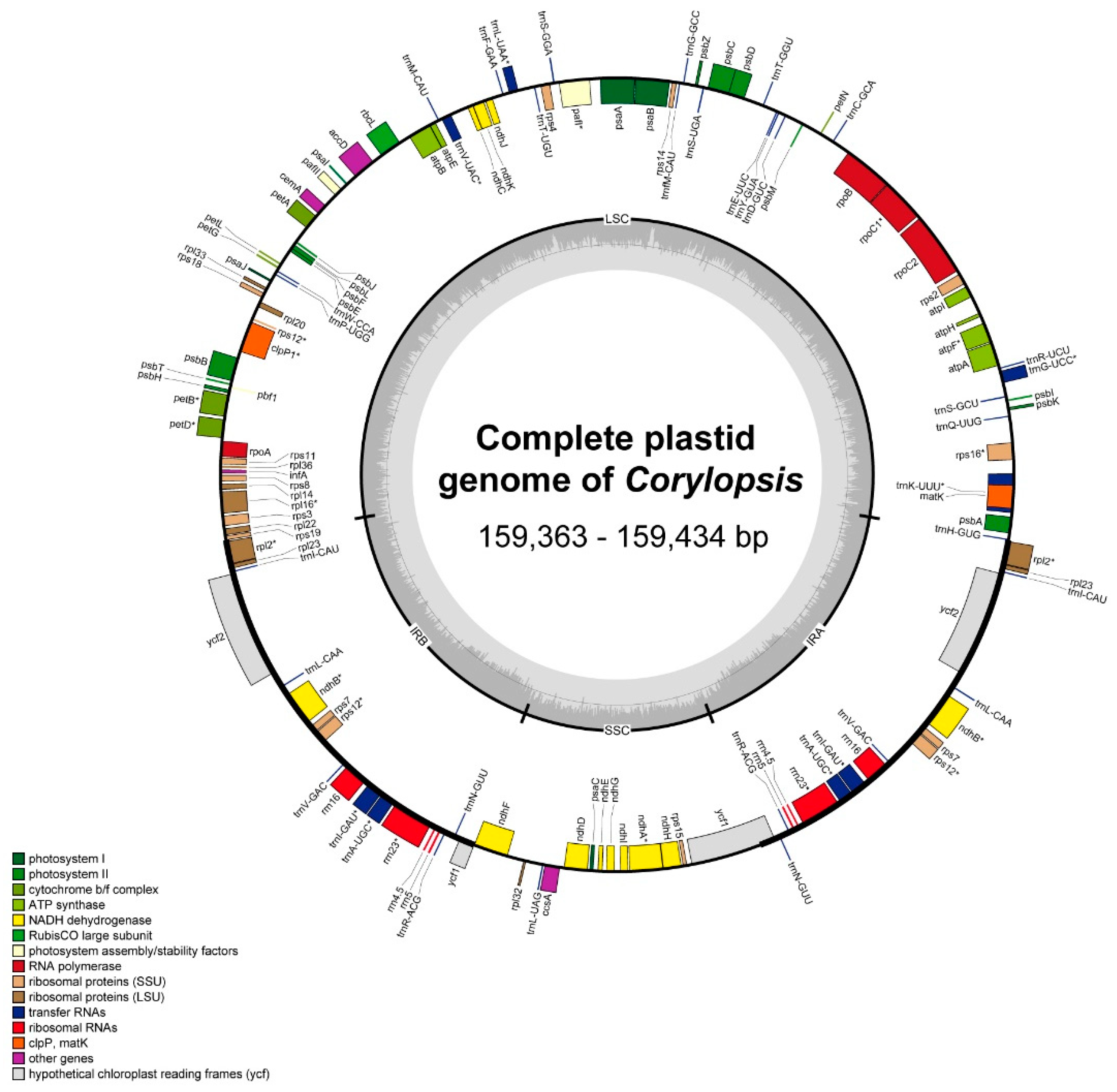 Genes 15 00380 g001