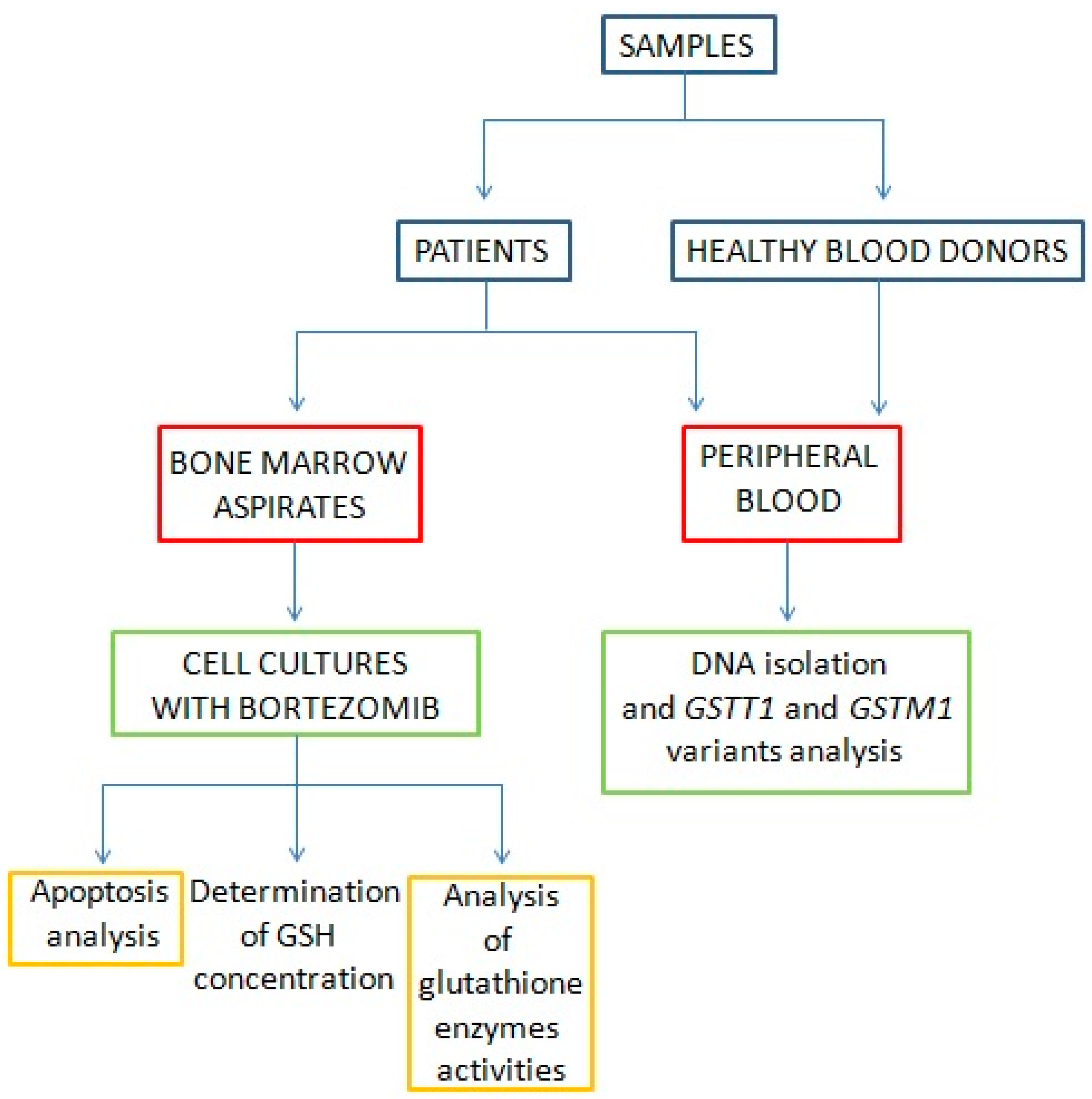 Genes 15 00387 g001