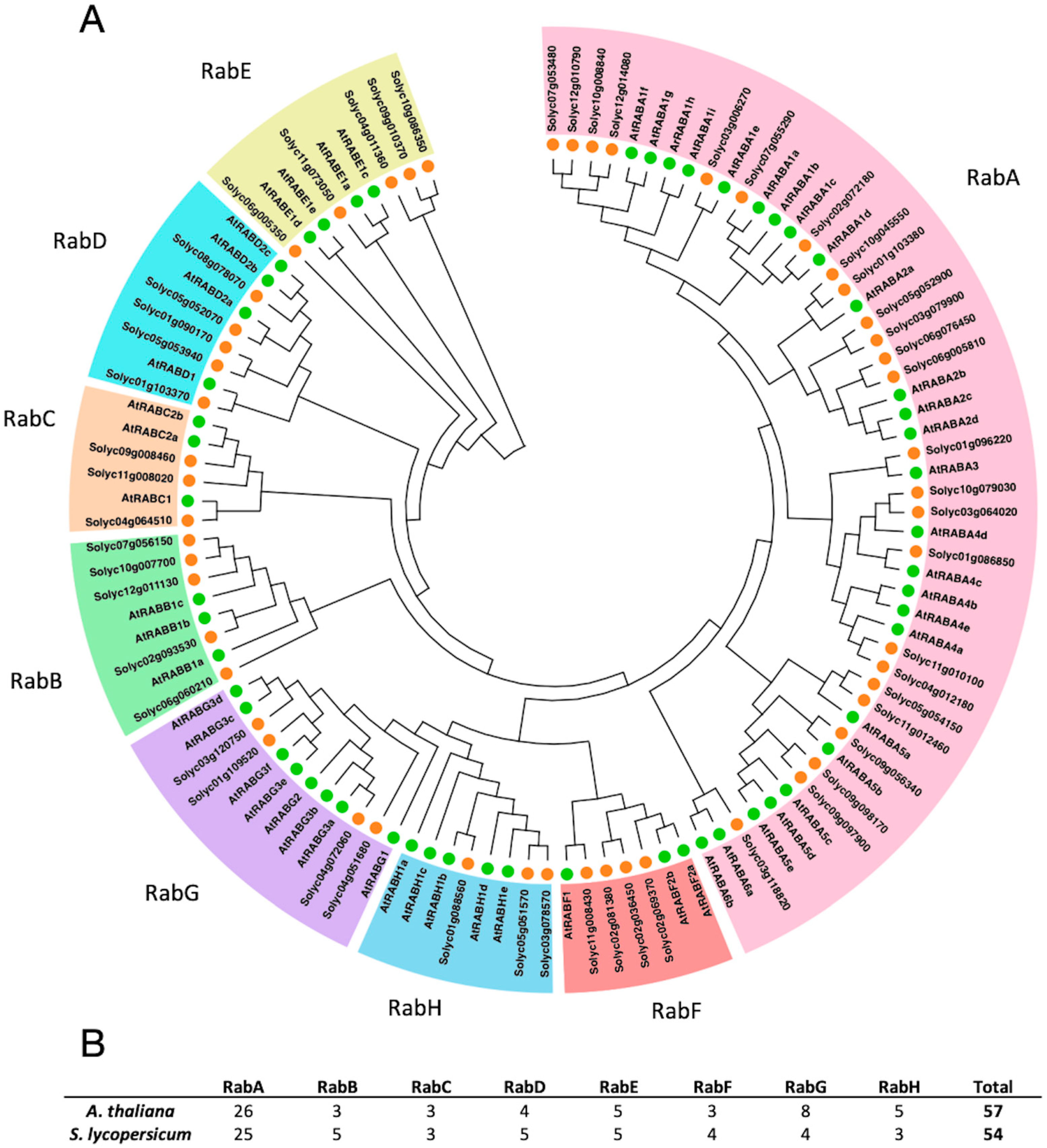 Genes 15 00453 g001 Genes 15 00453 g001