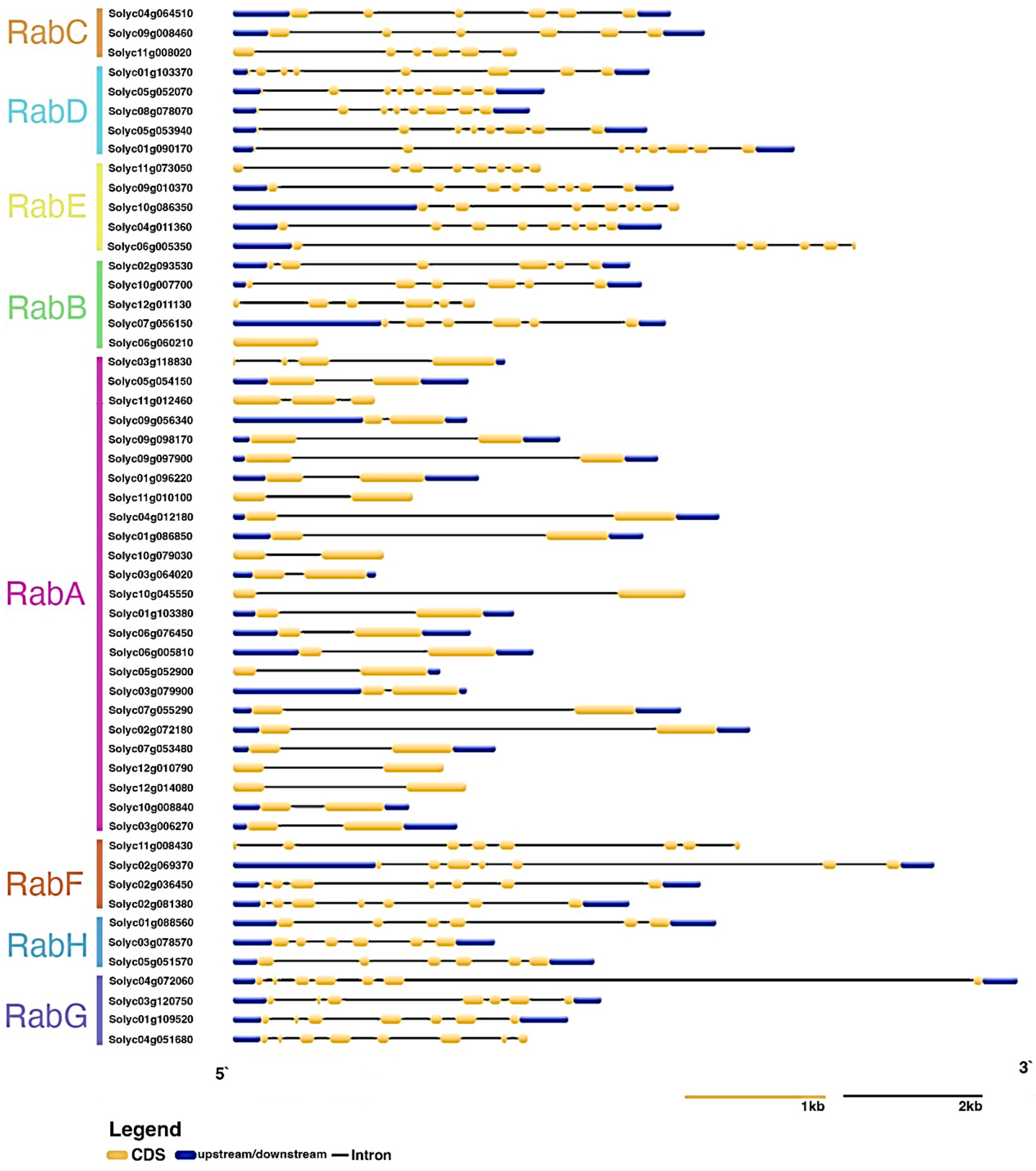 Genes 15 00453 g003 Genes 15 00453 g003