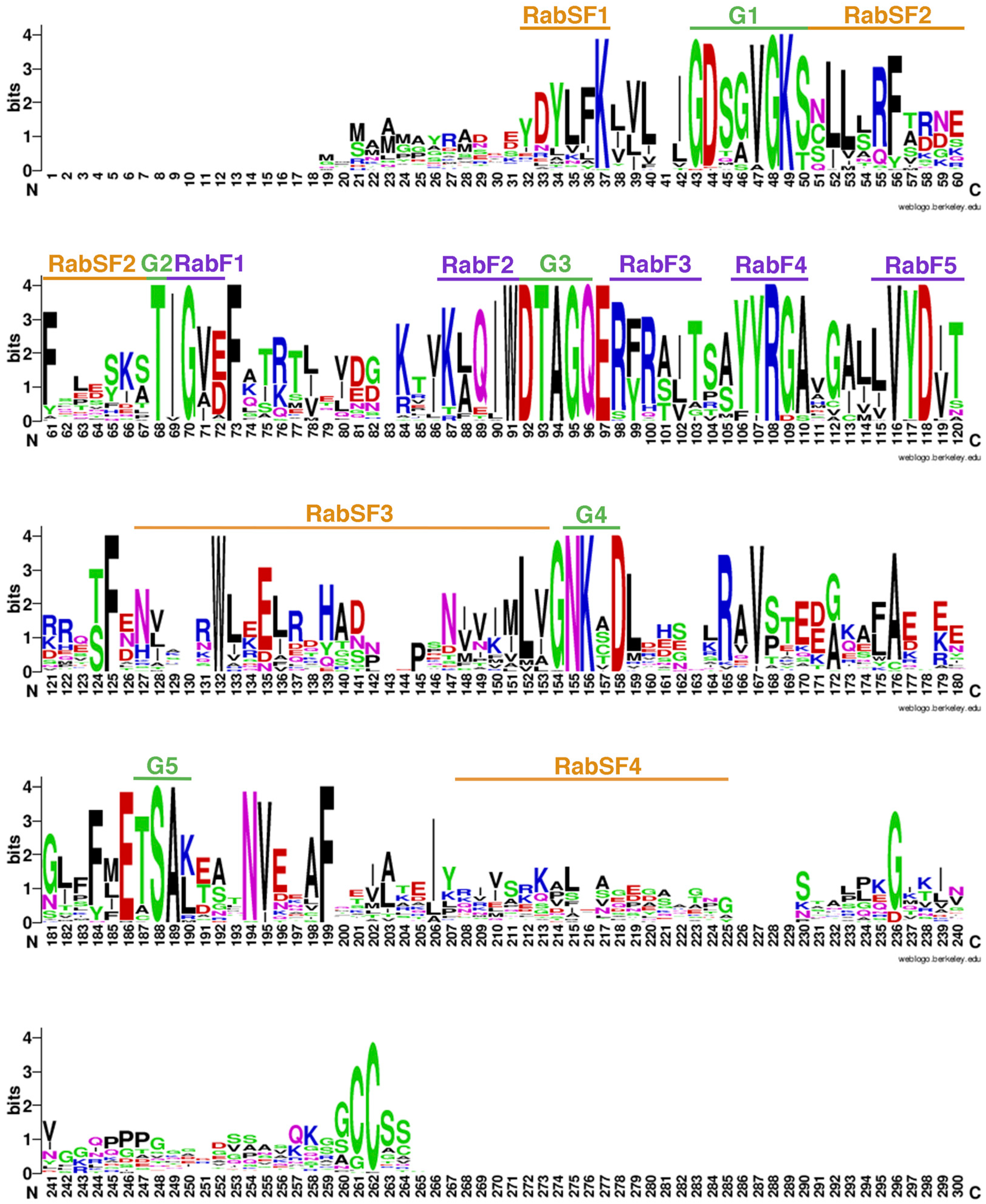 Genes 15 00453 g004 Genes 15 00453 g004