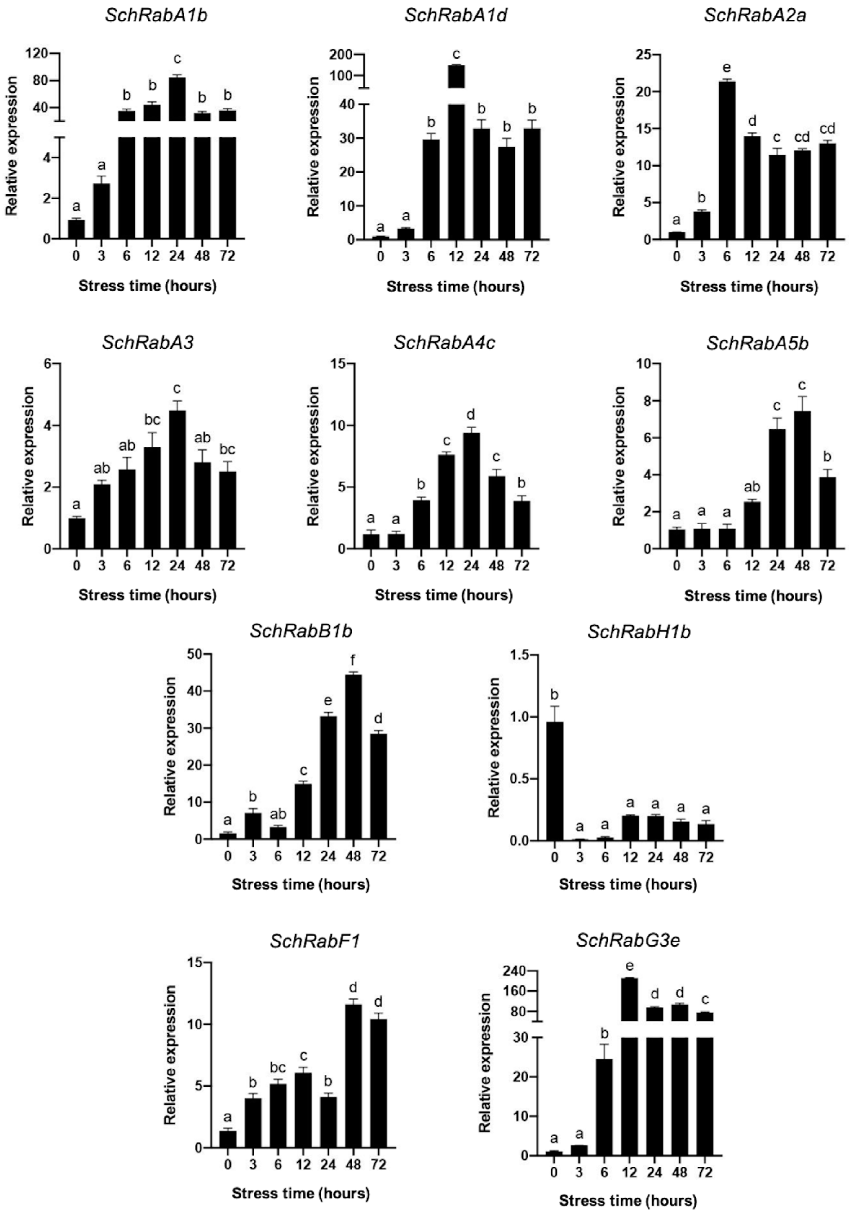 Genes 15 00453 g007 Genes 15 00453 g007