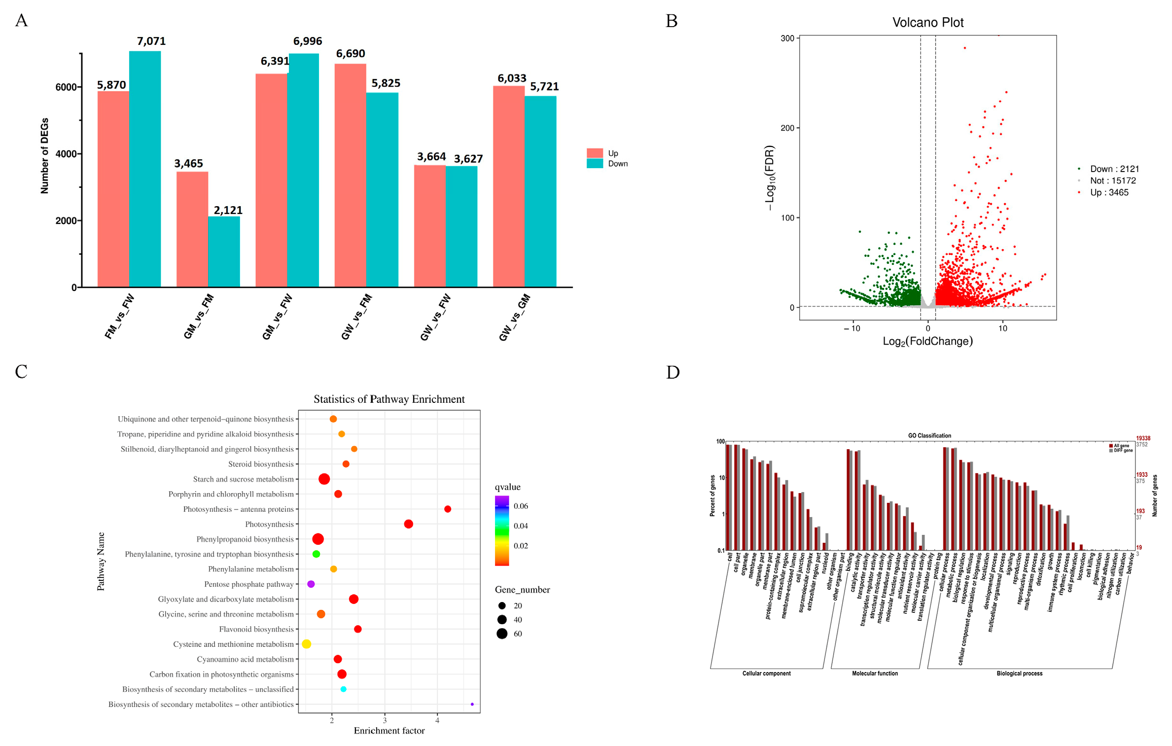 Genes 15 00486 g004