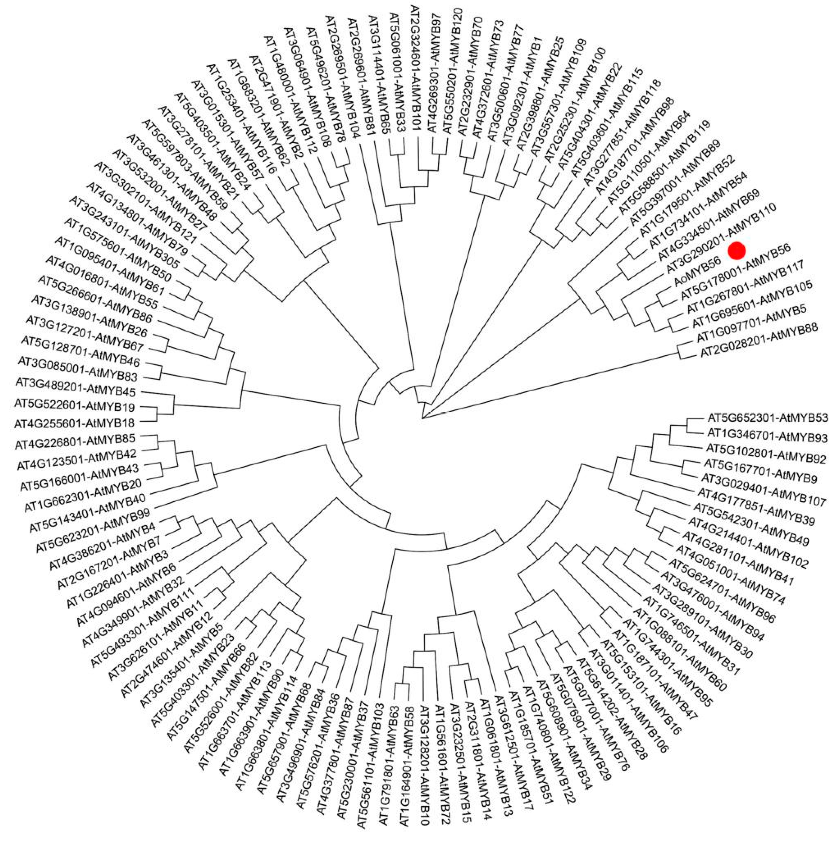 Genes 15 00486 g008