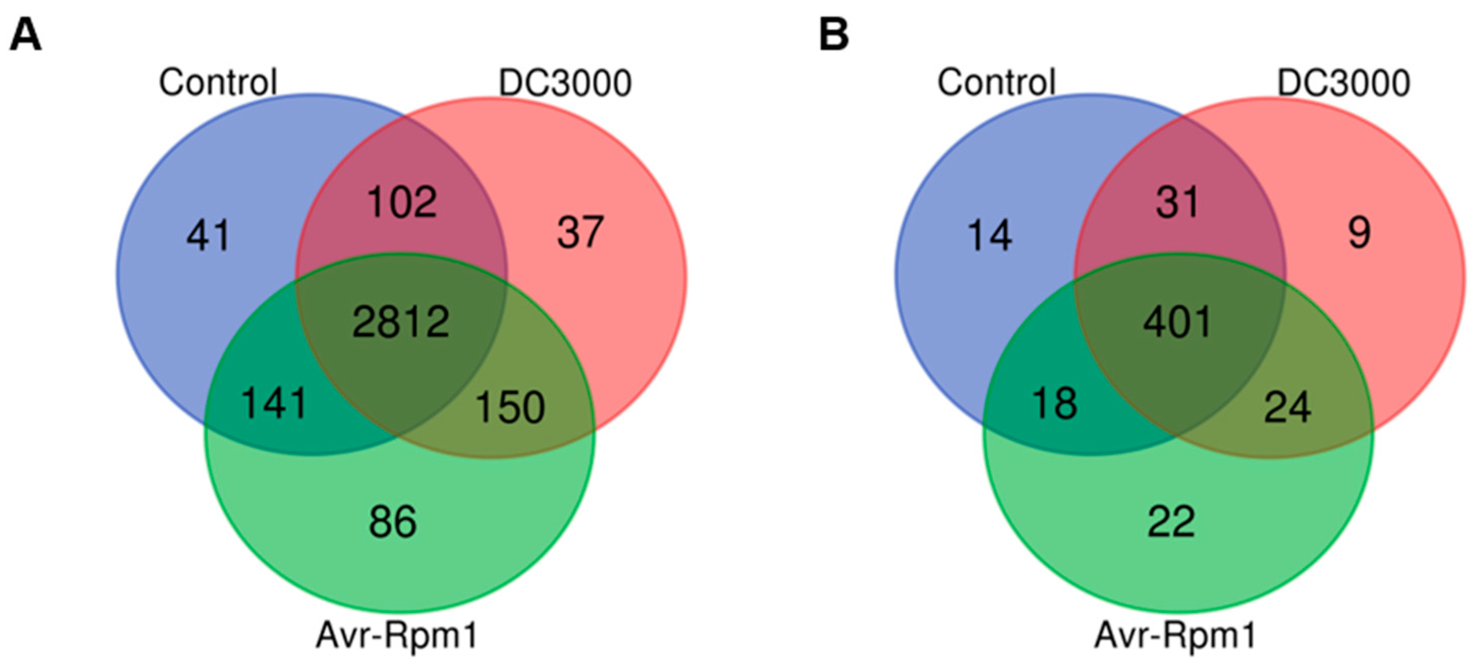 Genes 15 00499 g001