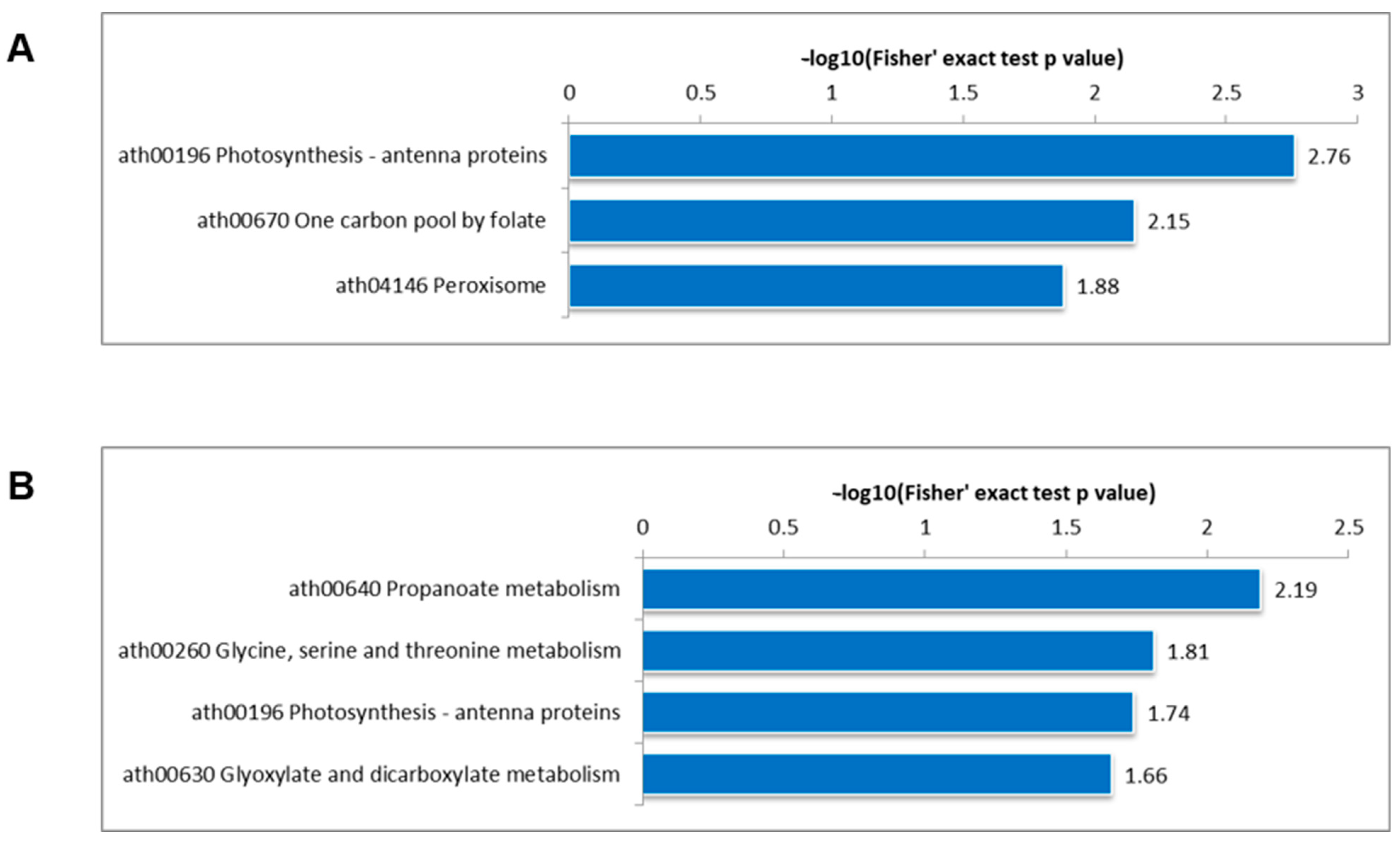Genes 15 00499 g005