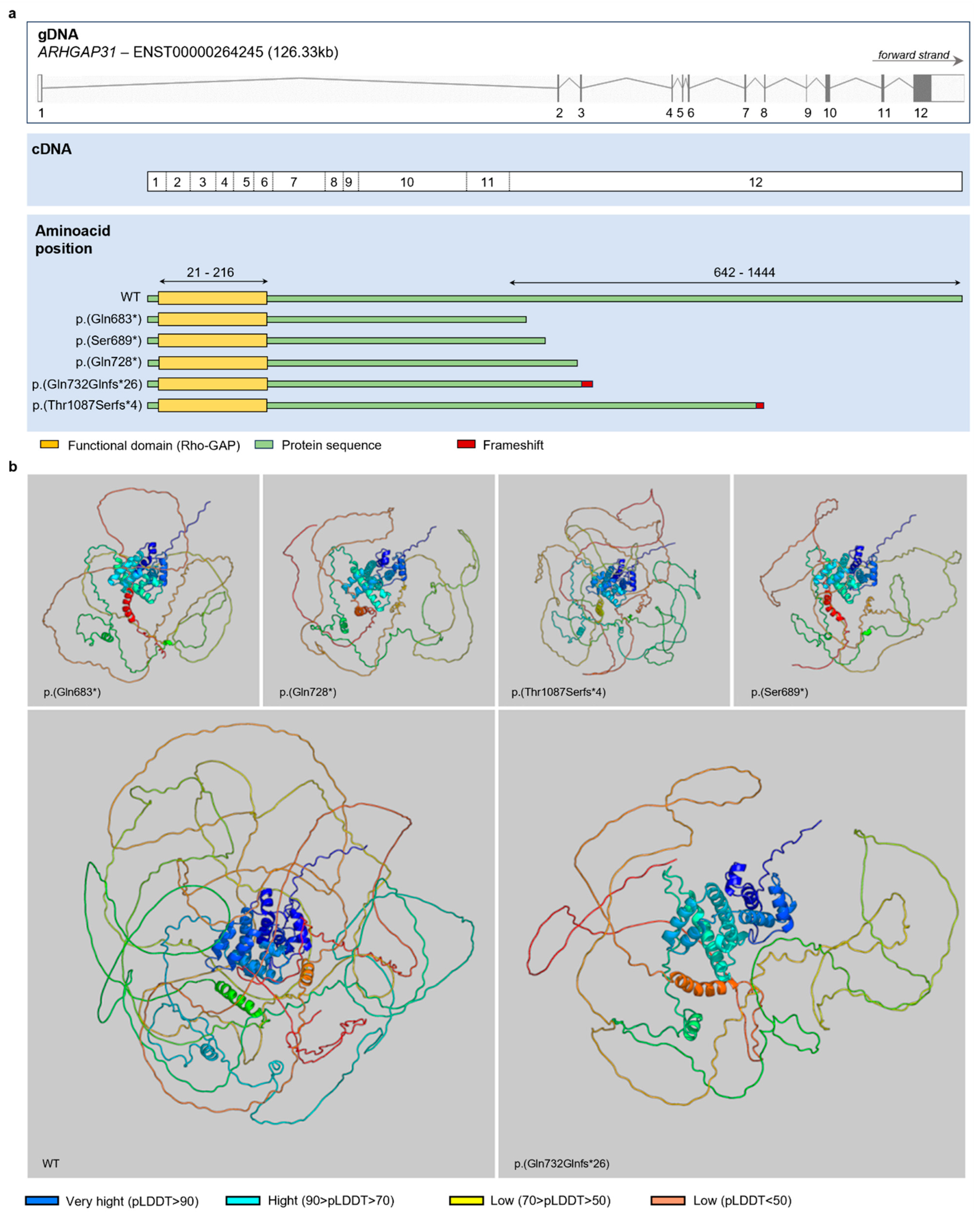 Genes 15 00536 g002