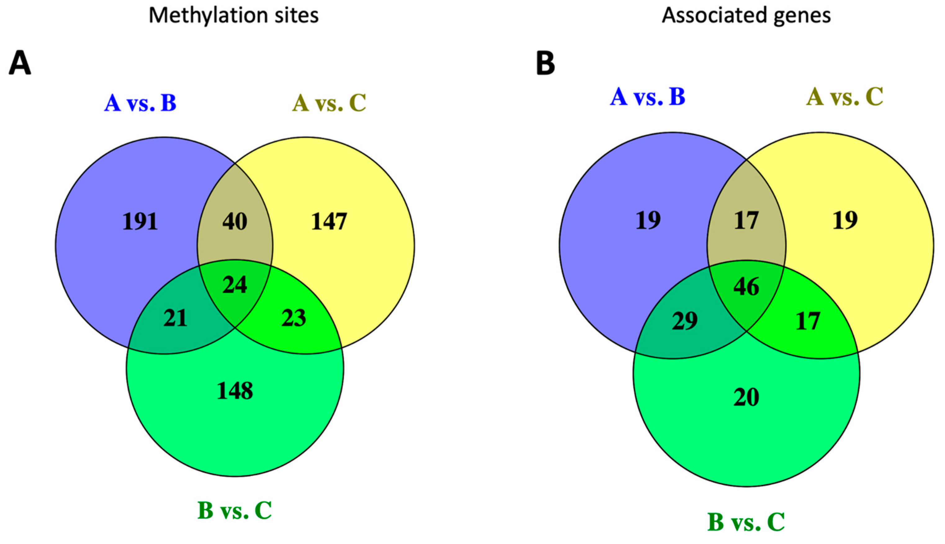 Genes 15 00604 g008