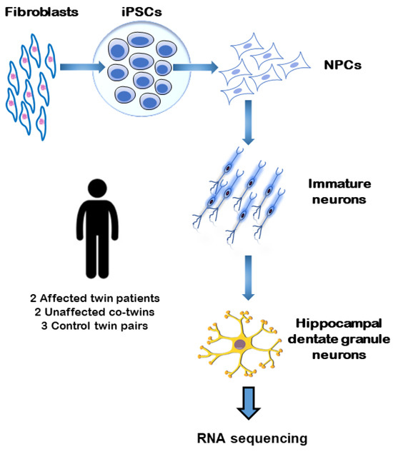 Genes Free Full Text Altered Expression Of Pde Genes In