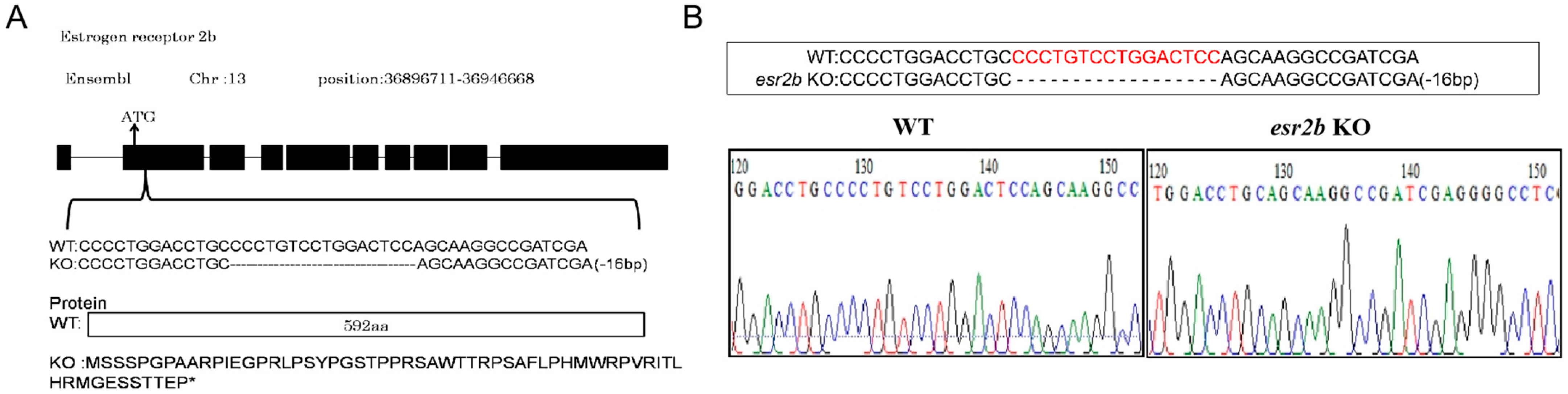 Genes 15 00636 g001