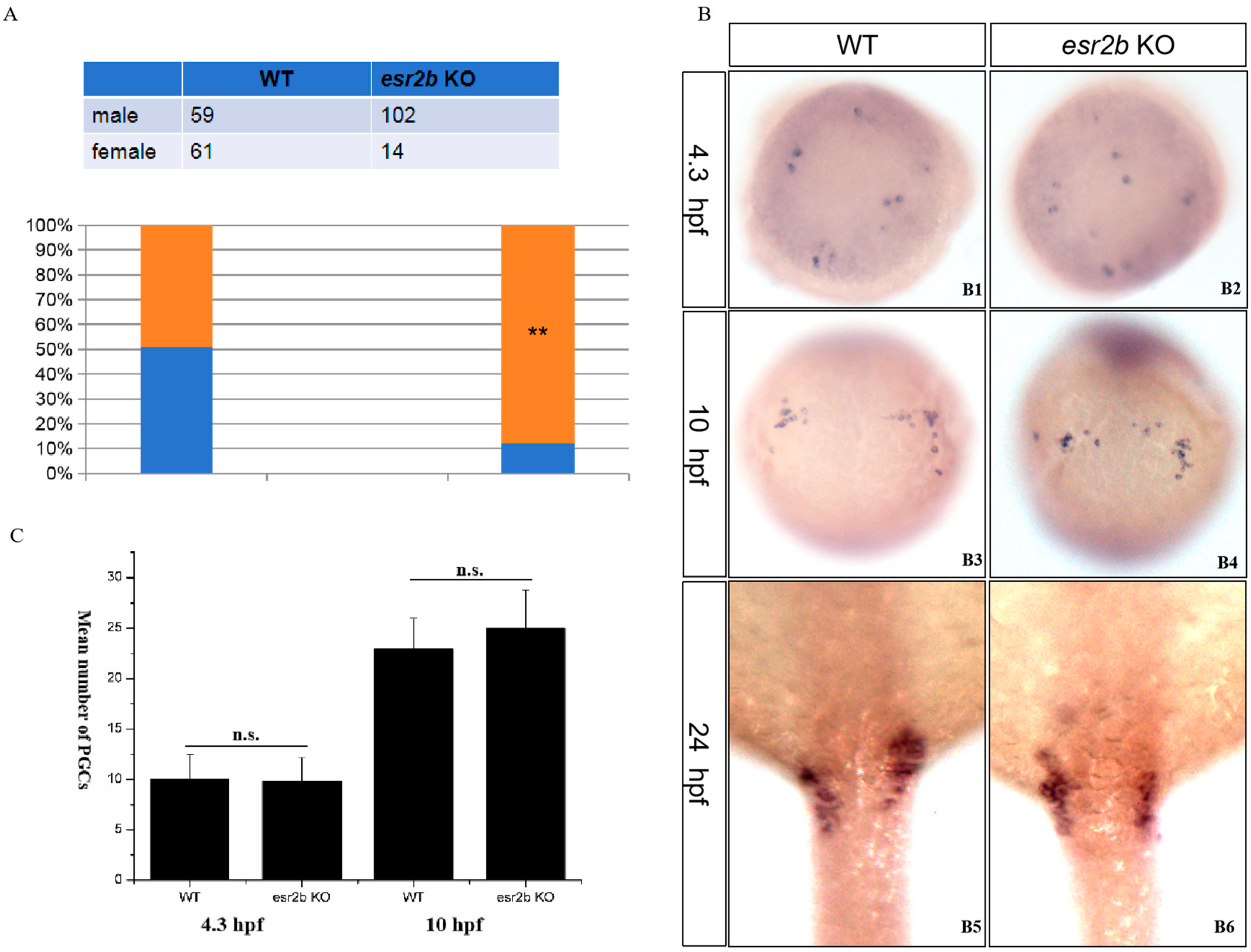 Genes 15 00636 g004