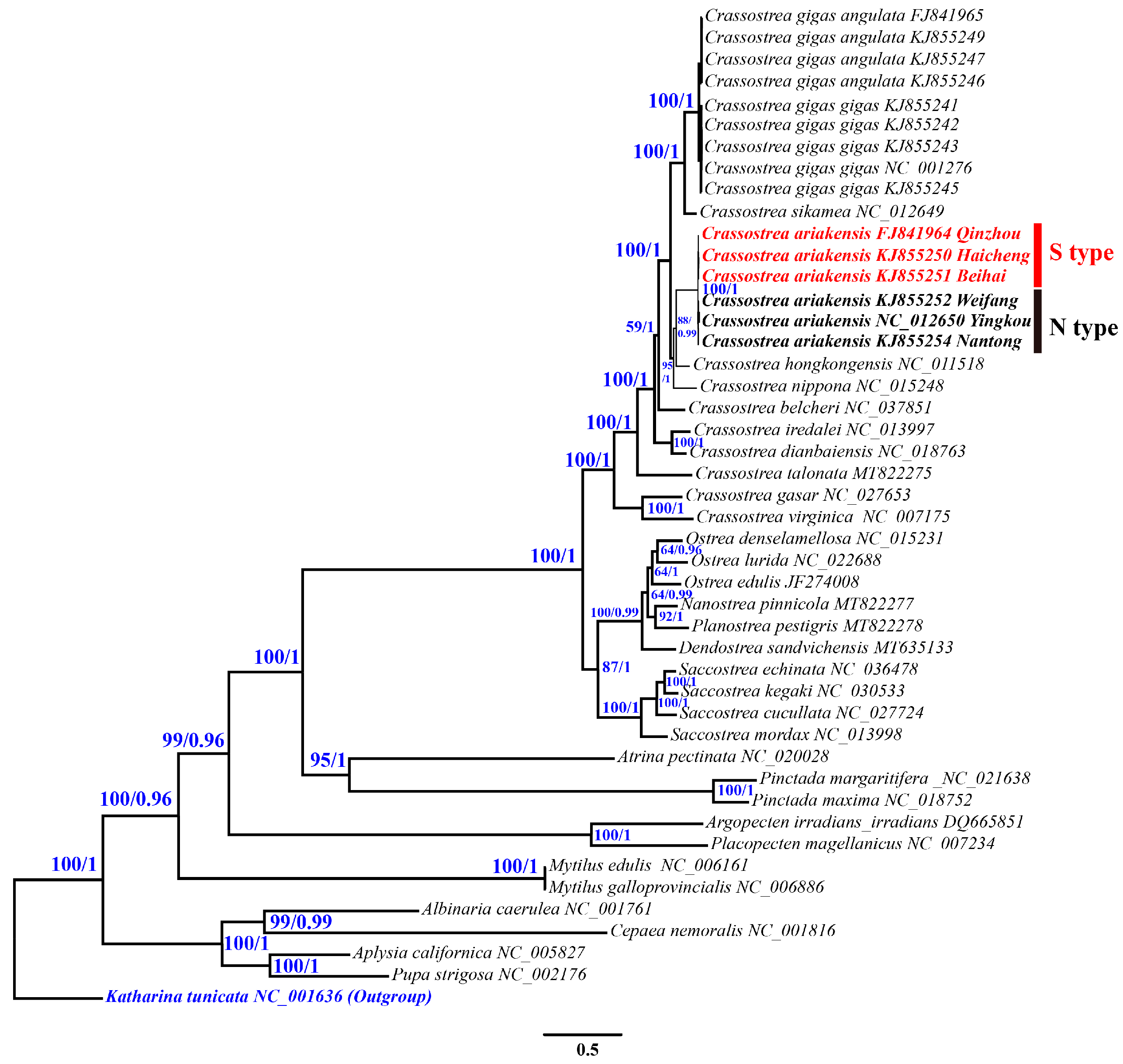 Genes 15 00644 g006