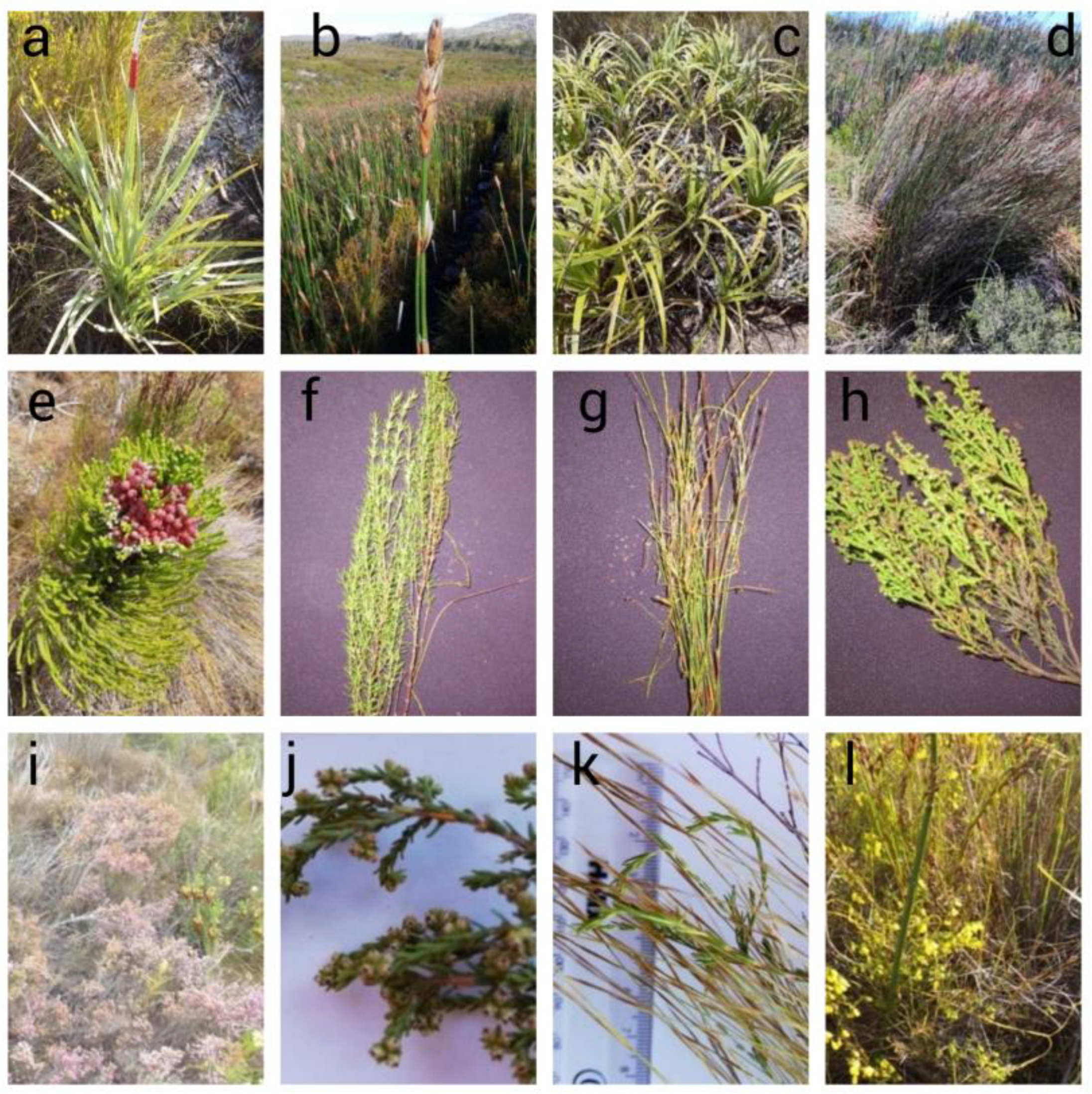 Geographies 05 00060 g002 Geographies 05 00060 g002