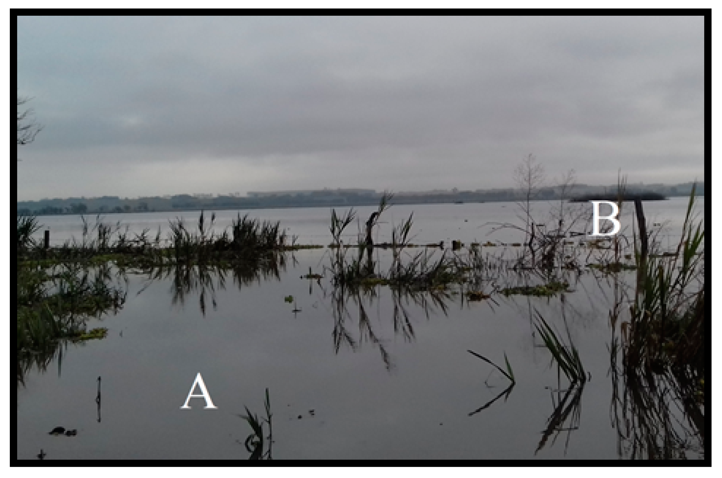 Geohazards 01 00003 g004