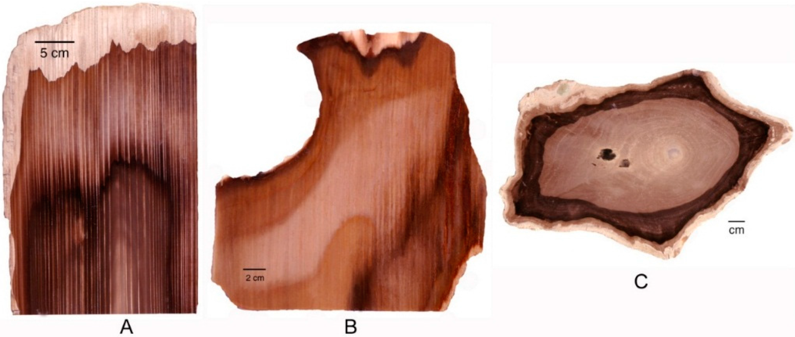 Geosciences 06 00025 g018