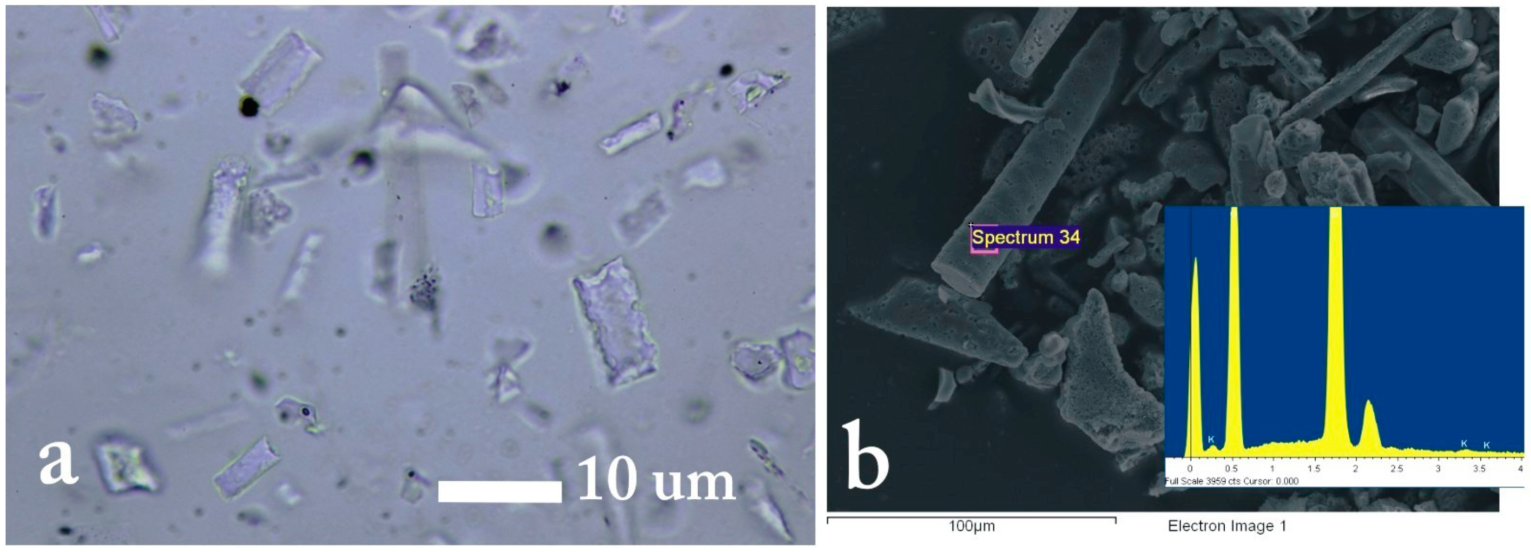 Geosciences 08 00402 g004