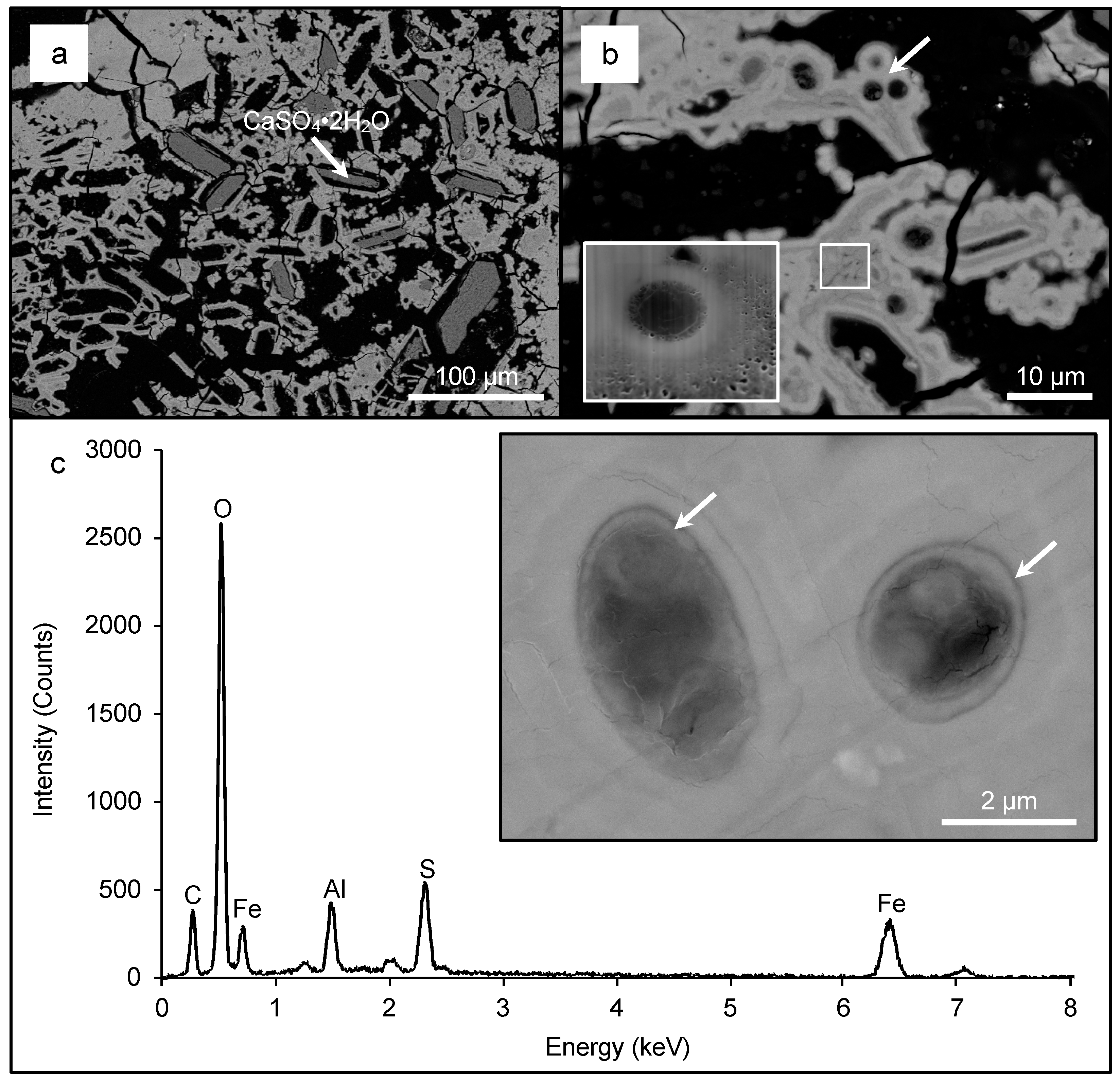 Geosciences 08 00480 g008