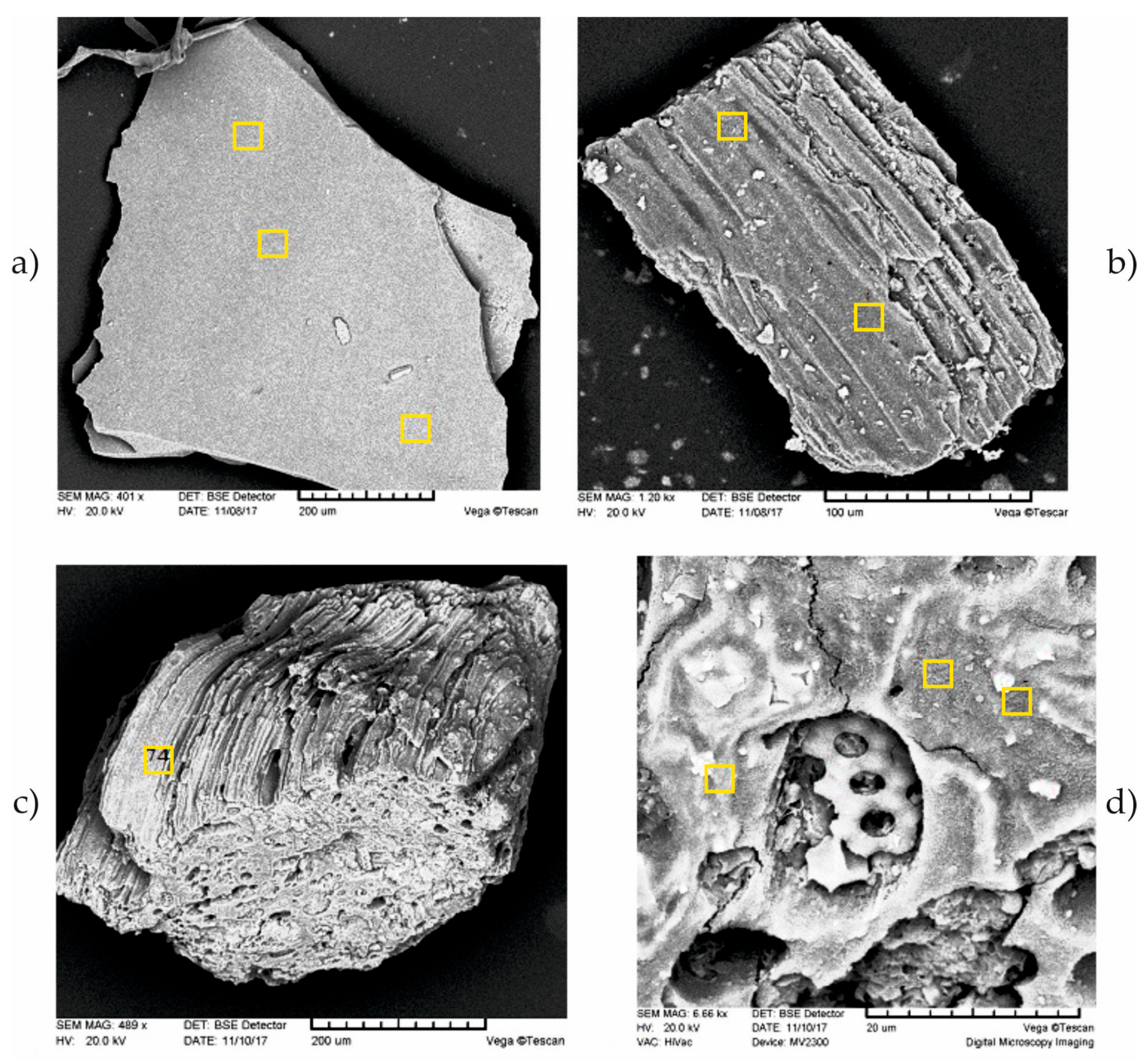 Geosciences 09 00379 g005