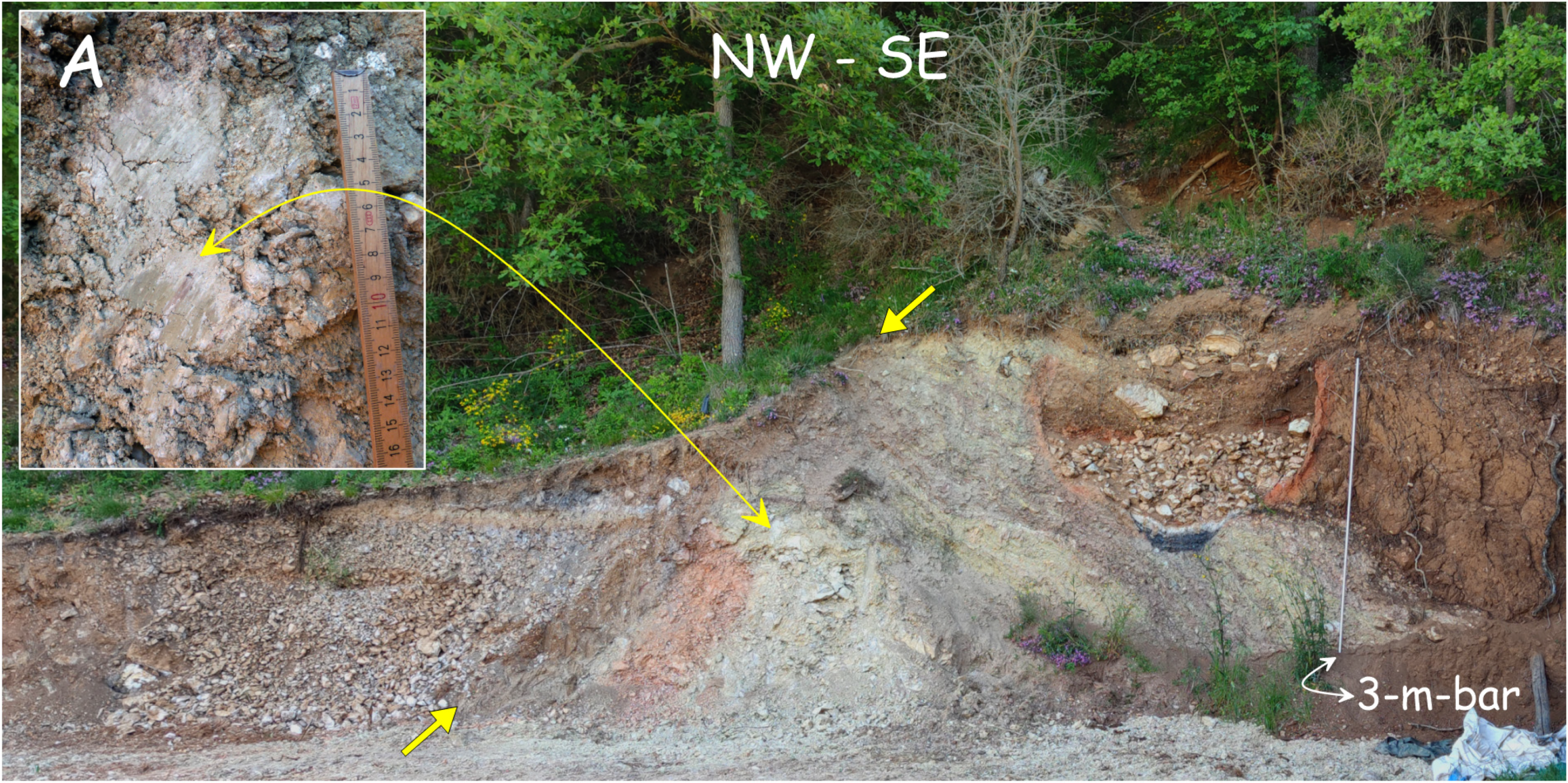 Geosciences 12 00014 g004