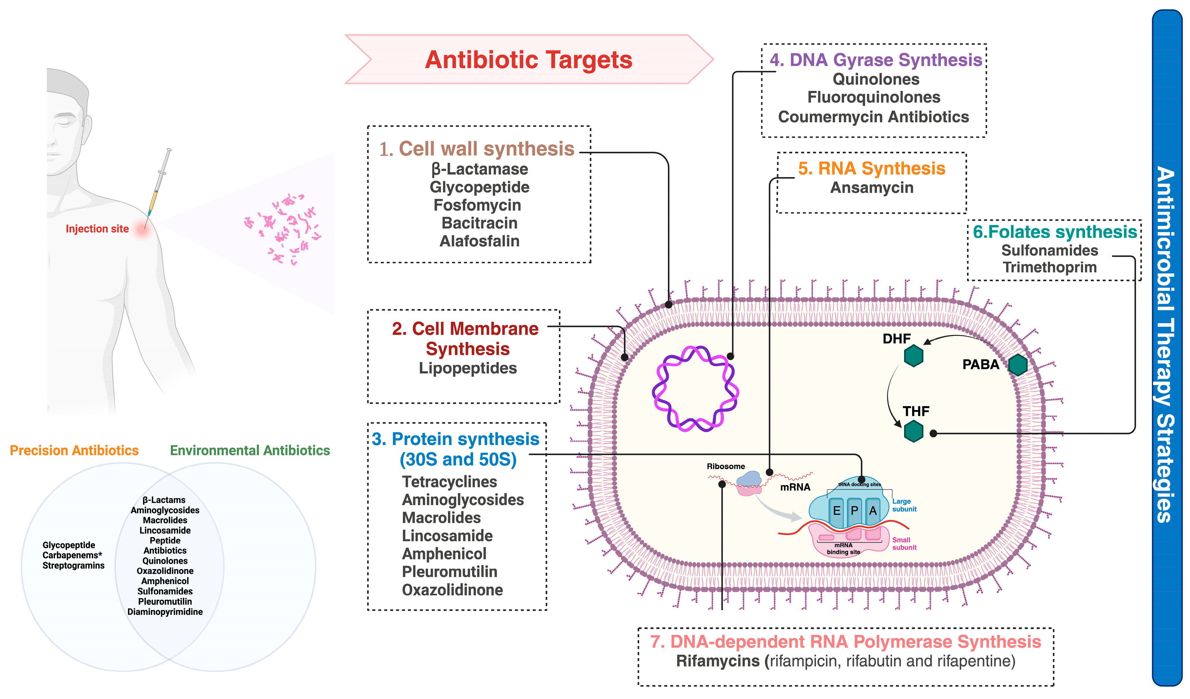 Geriatrics 09 00045 g002
