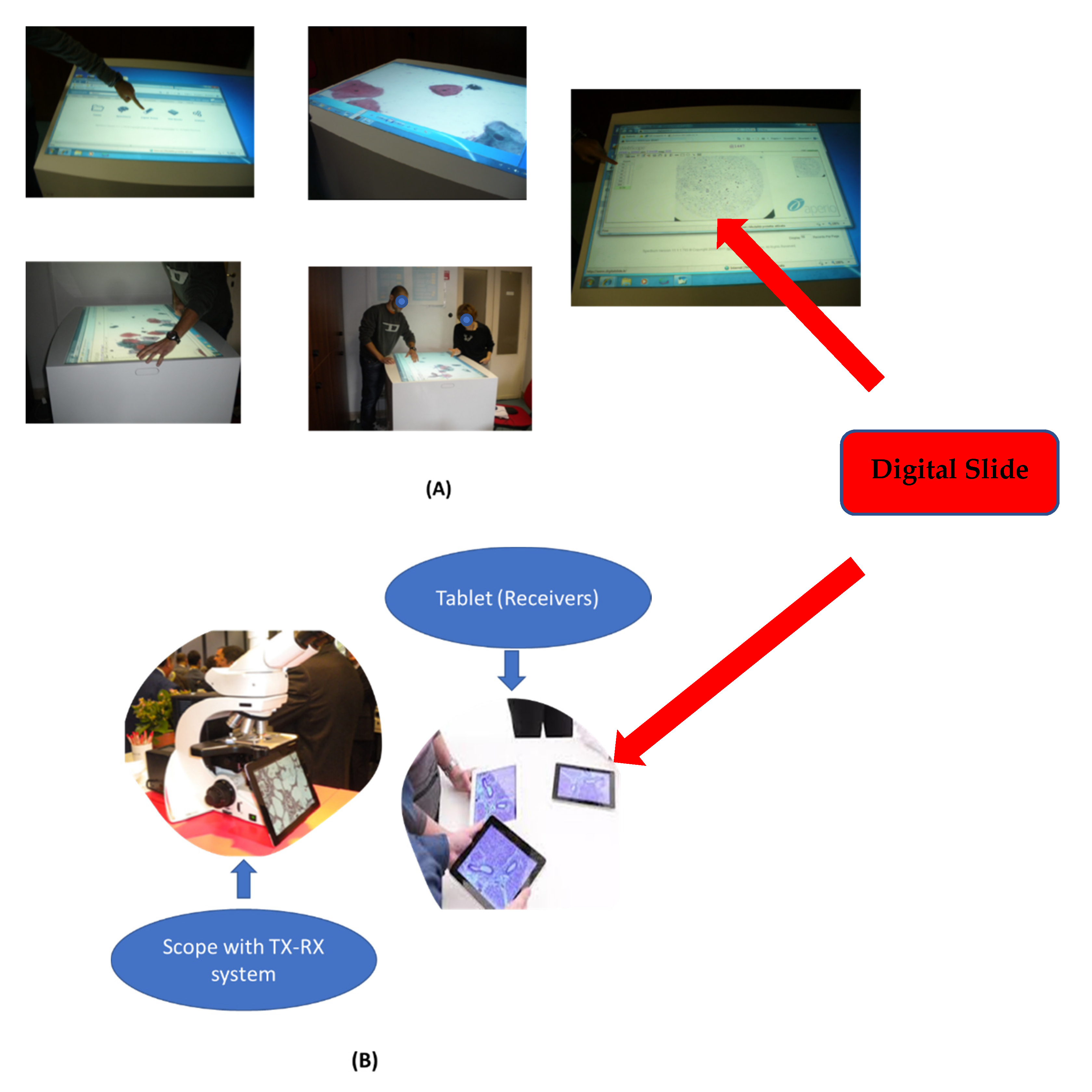 Healthcare 09 00858 g004