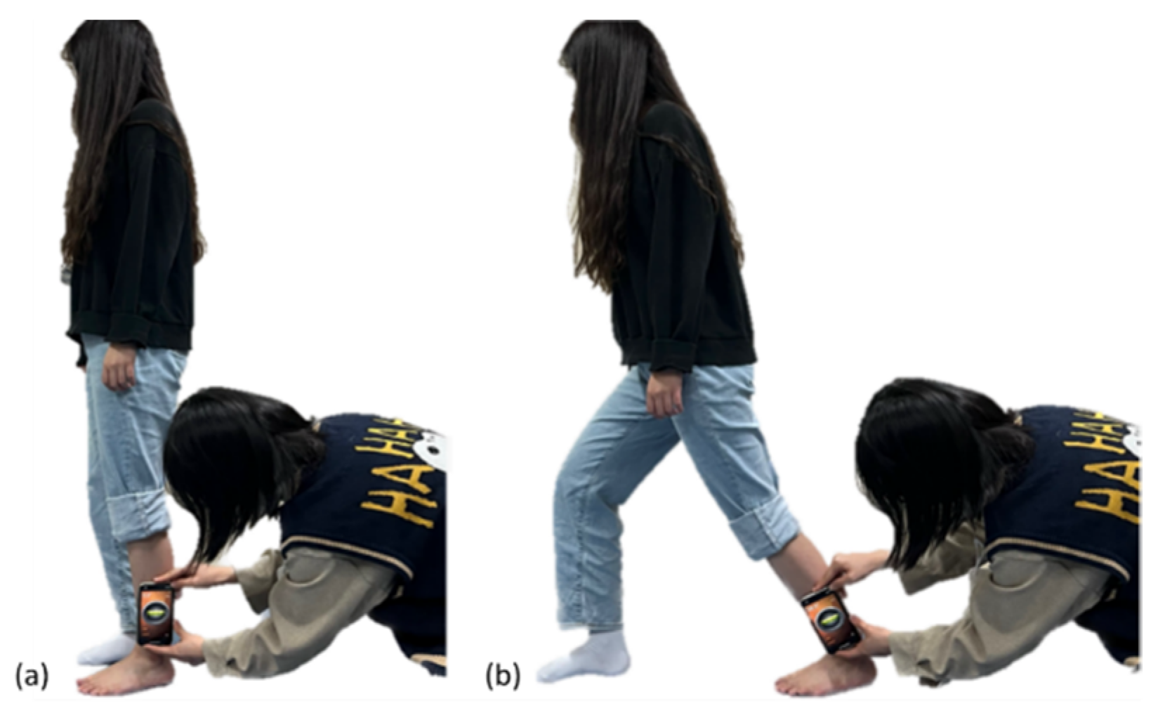 Healthcare 12 01038 g002