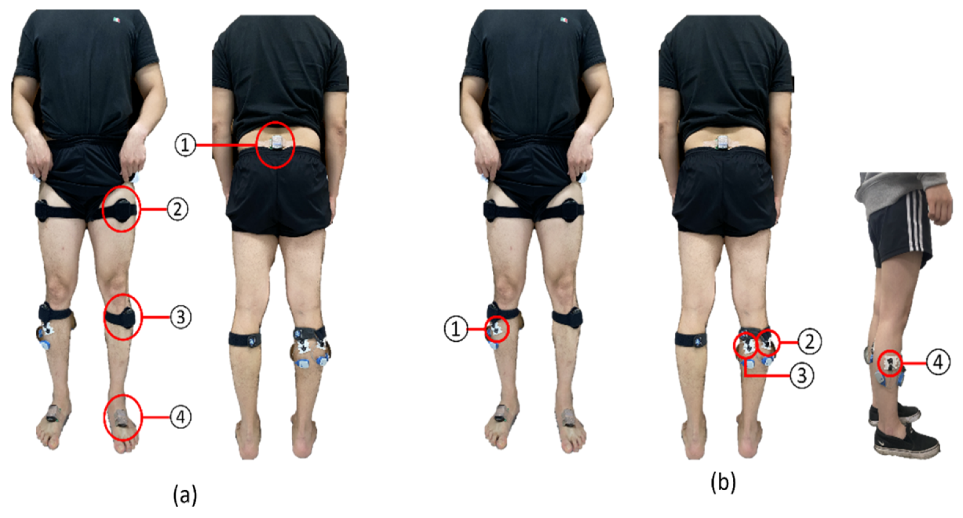 Healthcare 12 01038 g005