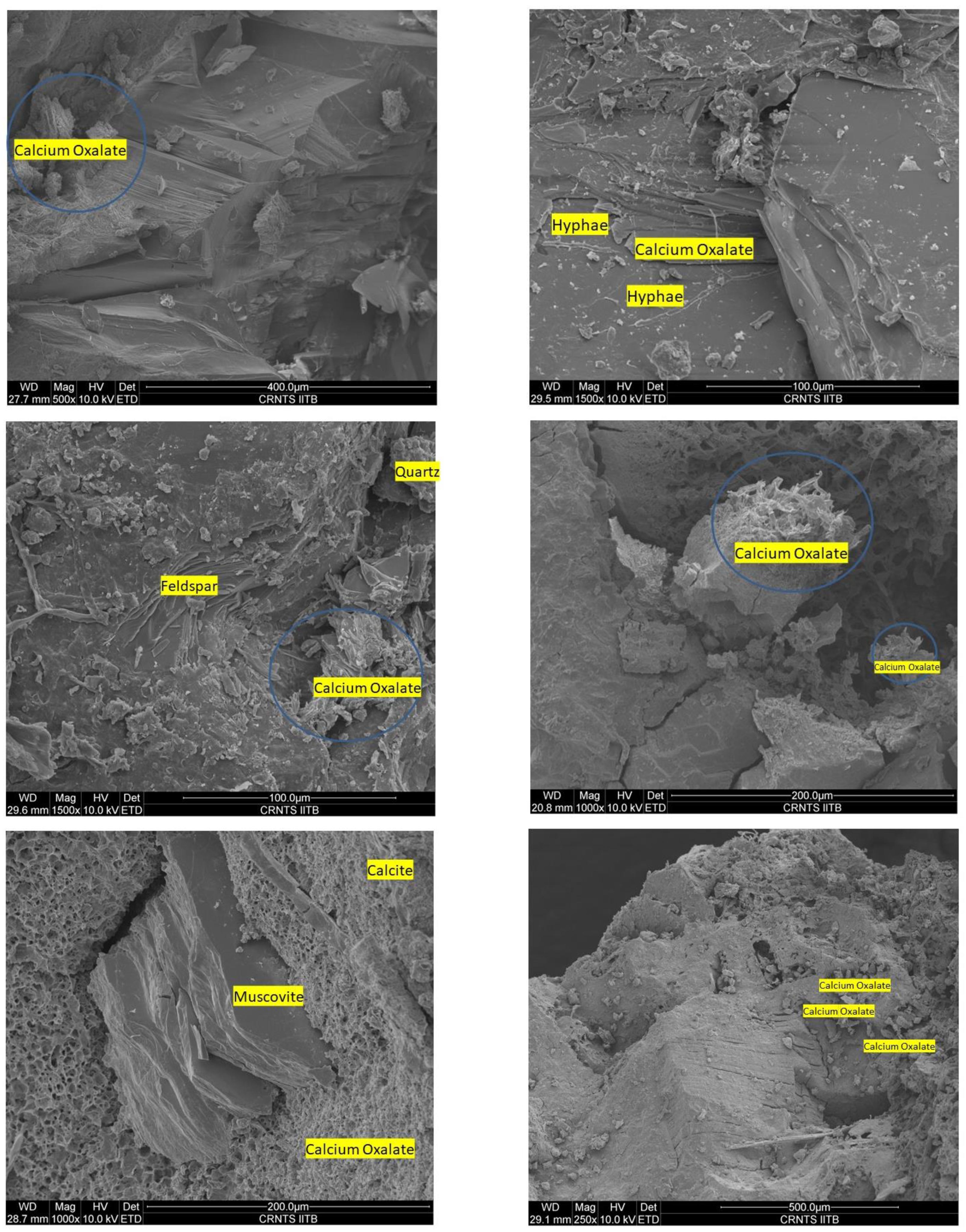 Heritage 06 00283 g009