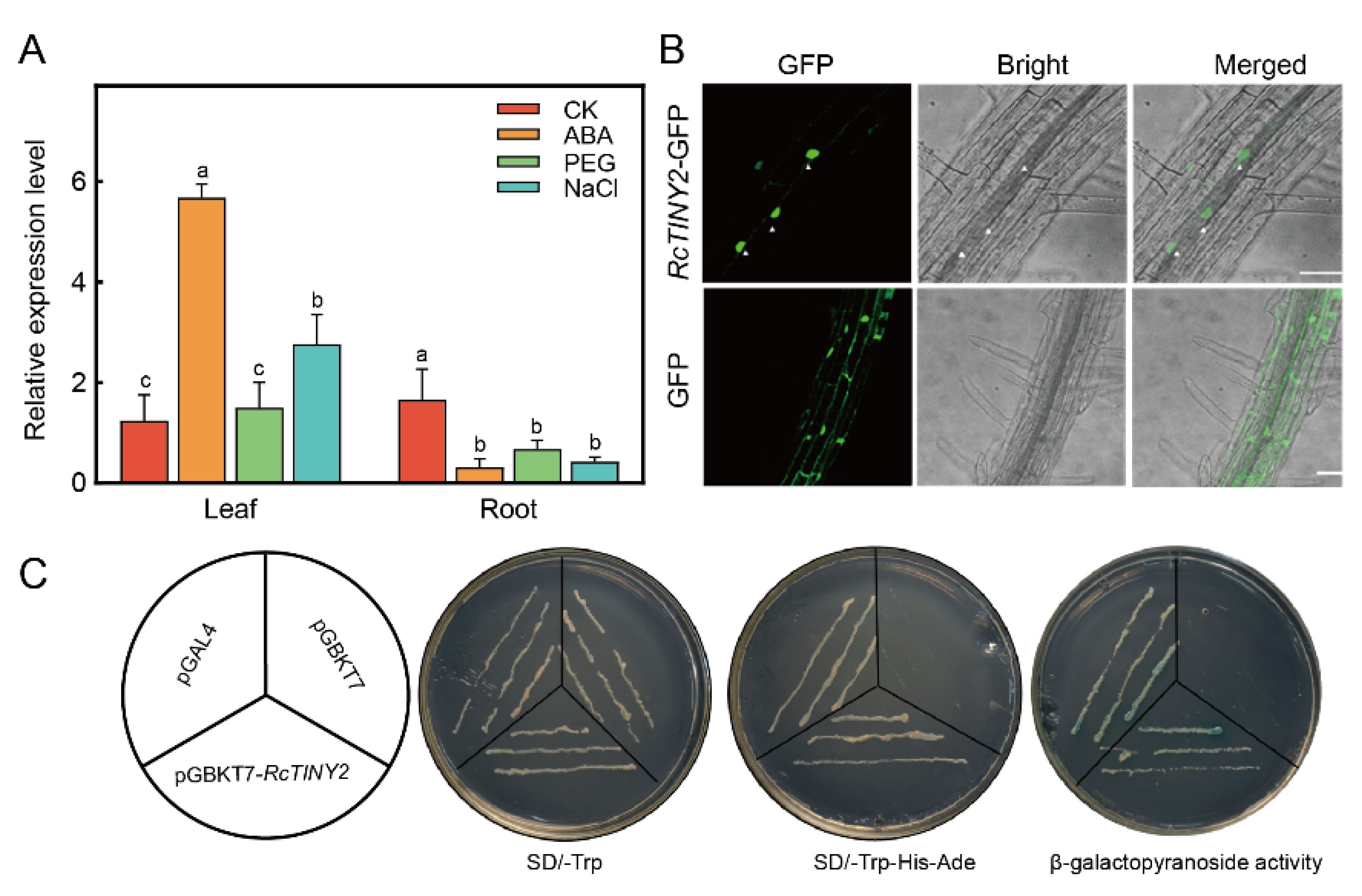 Horticulturae 08 00747 g002