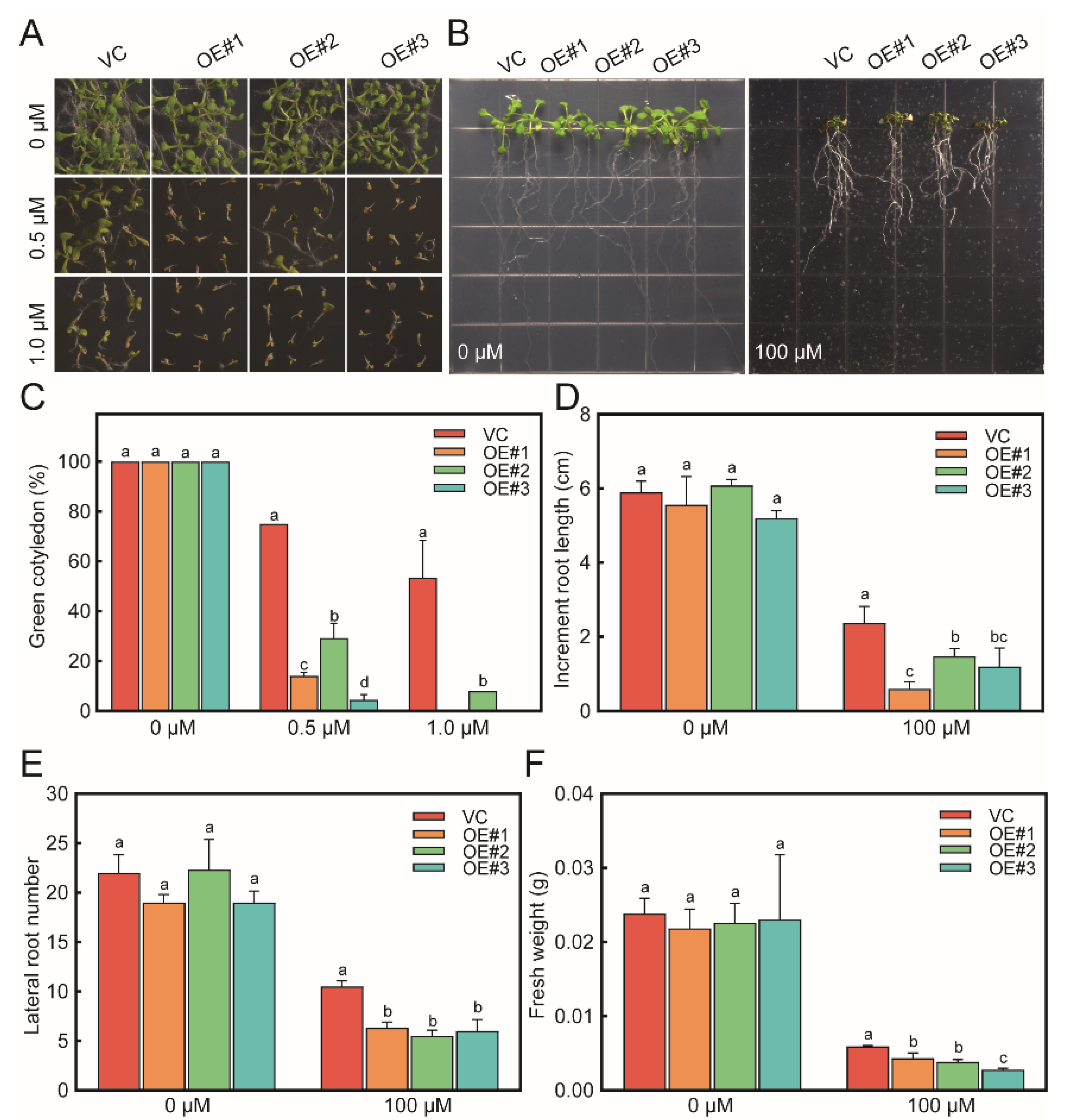 Horticulturae 08 00747 g003