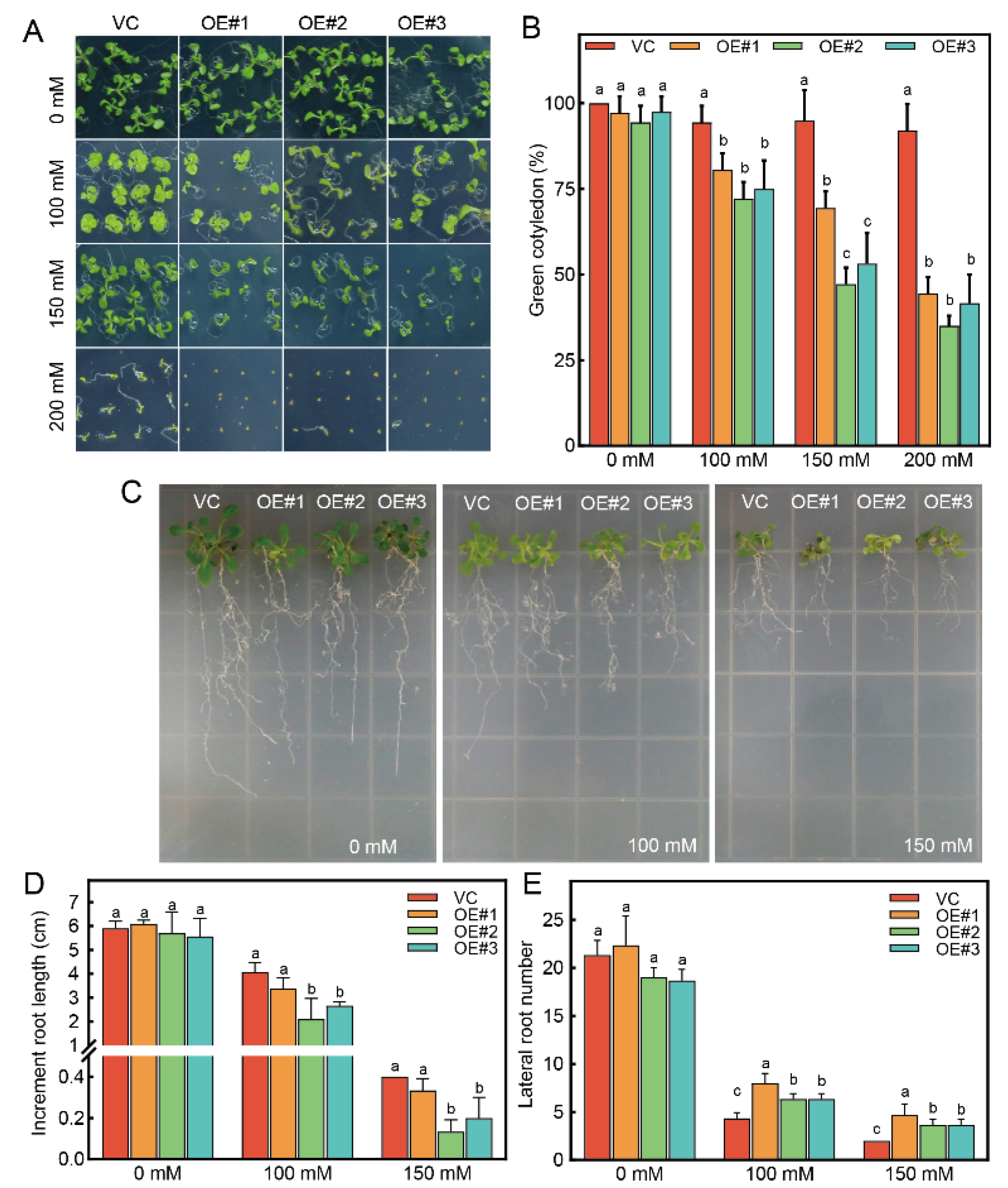 Horticulturae 08 00747 g004