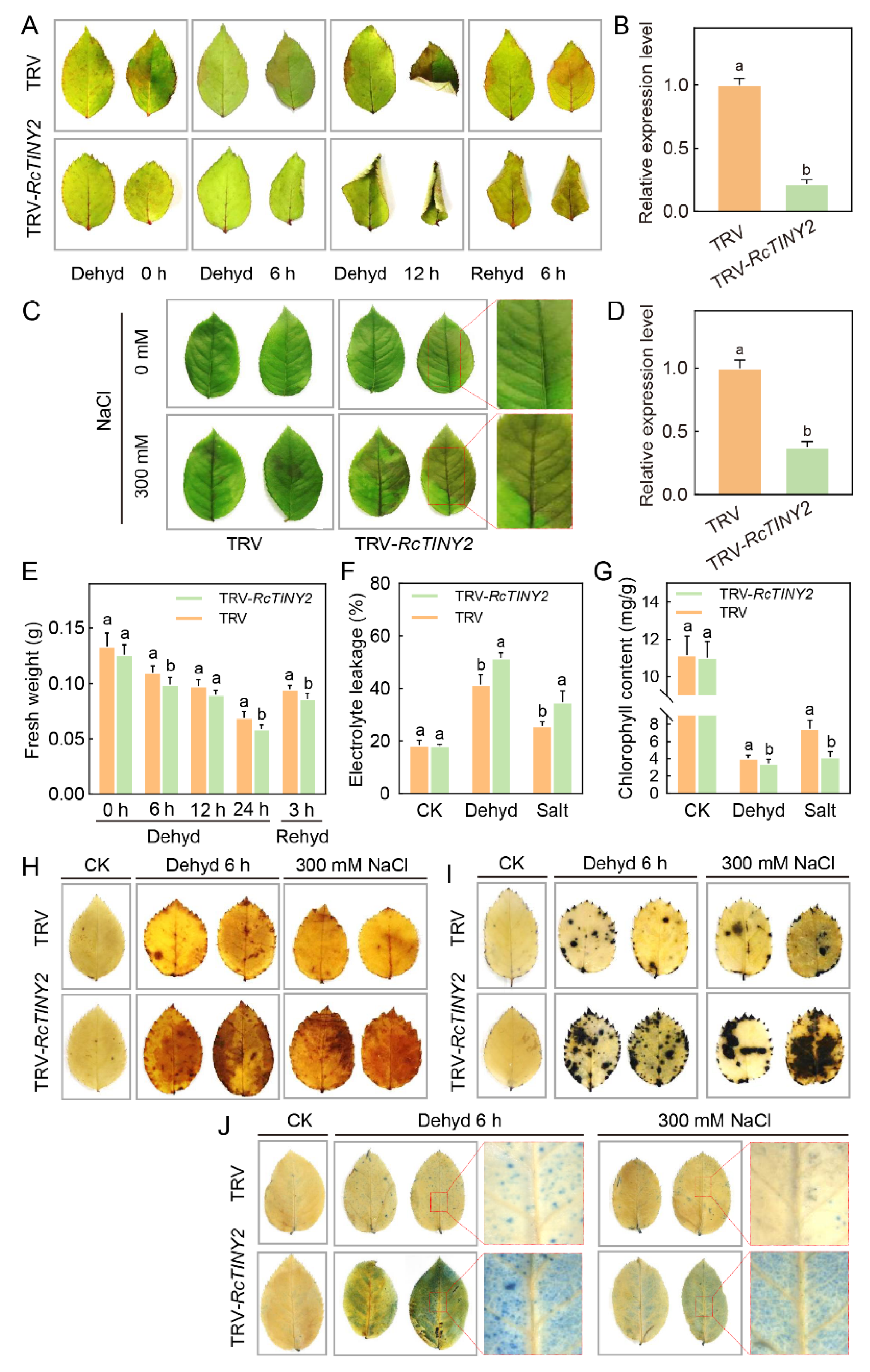 Horticulturae 08 00747 g006